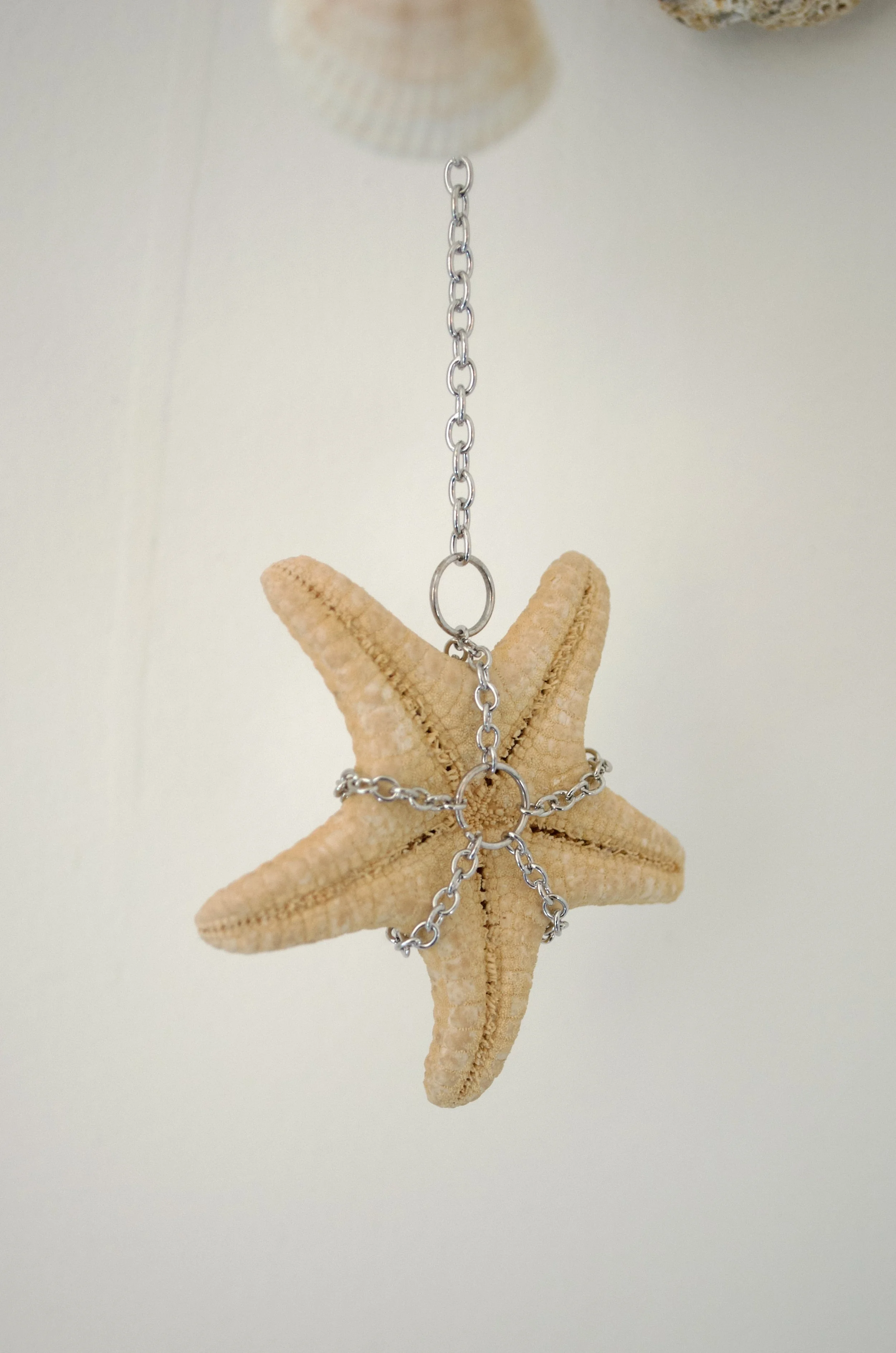 Relic VI_Memory Tree_7.jpeg