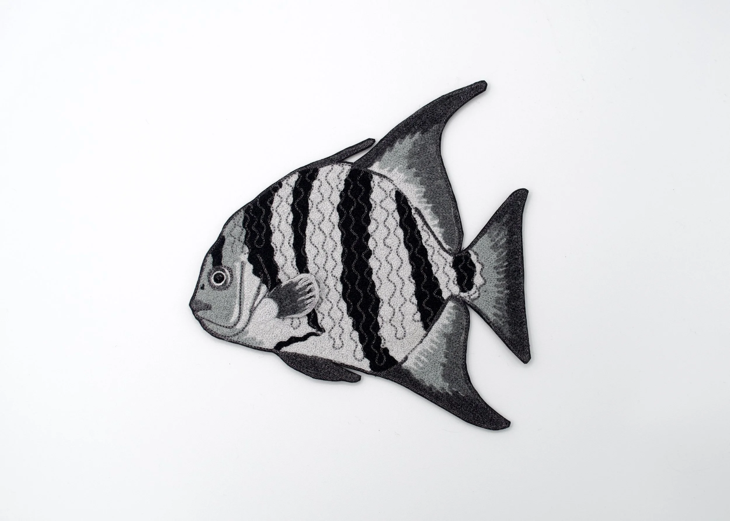  The Shoal (Spadefish), 2026 