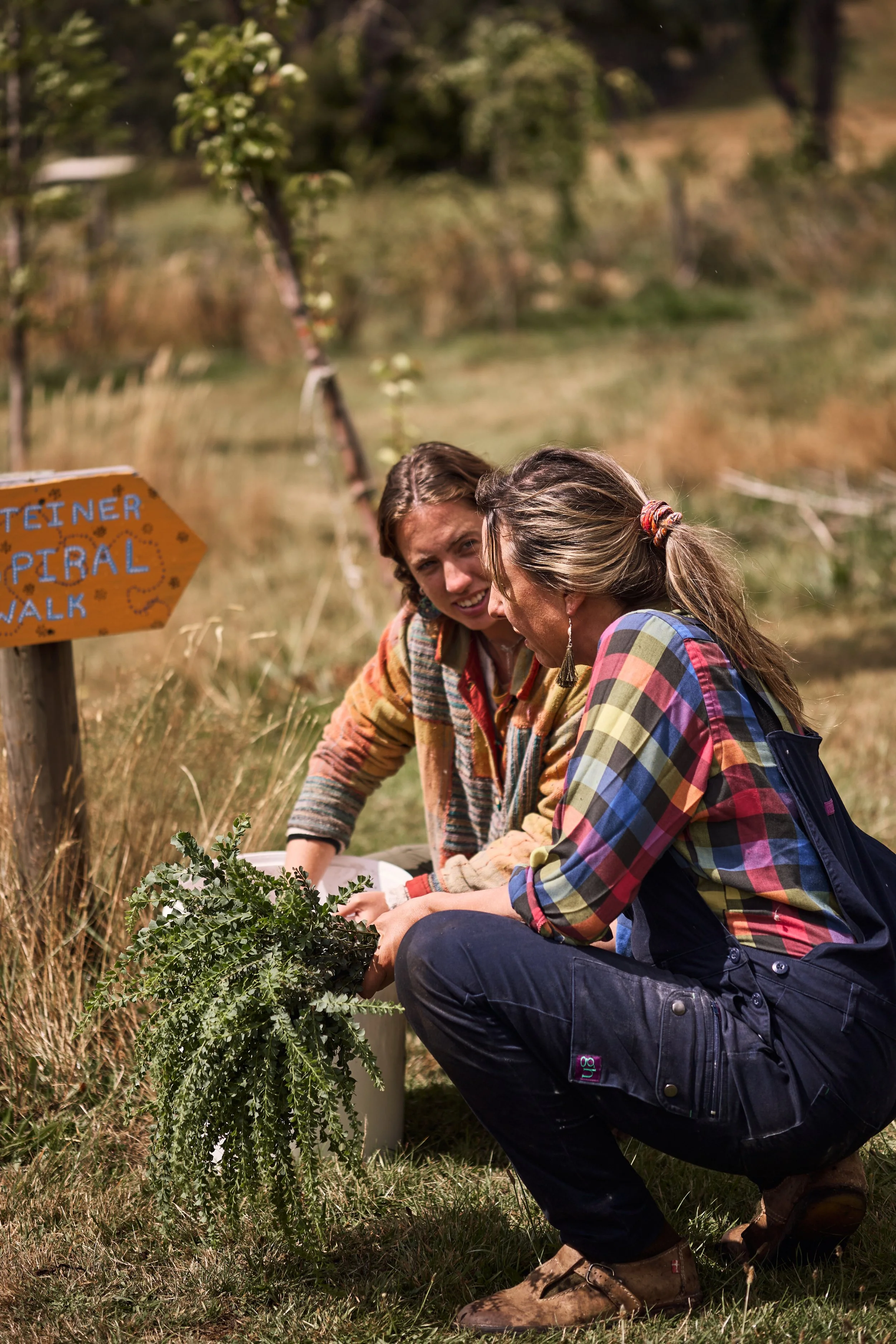 Magical_Farm_Feb_2025200.jpg