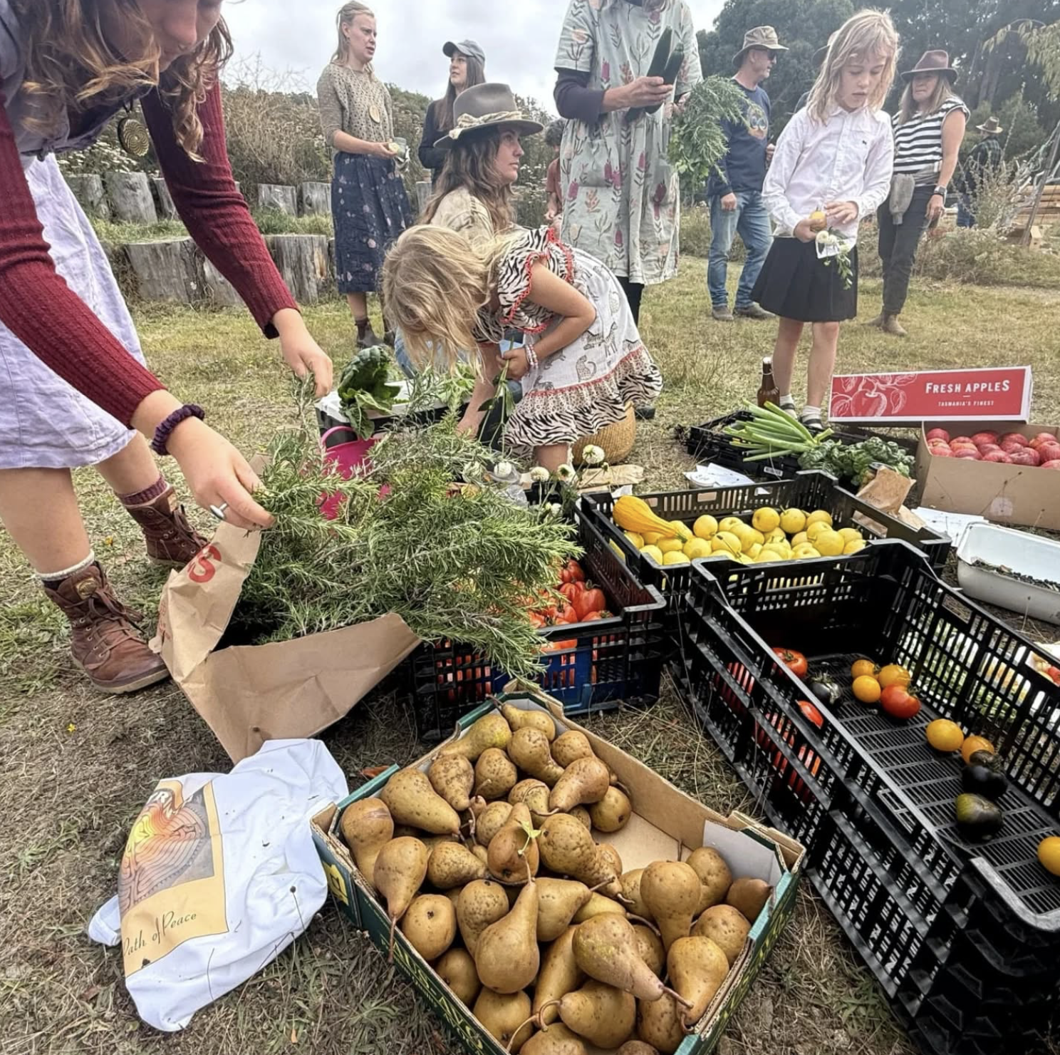 Screenshot 2026-03-06 at 11.11.42 am.png