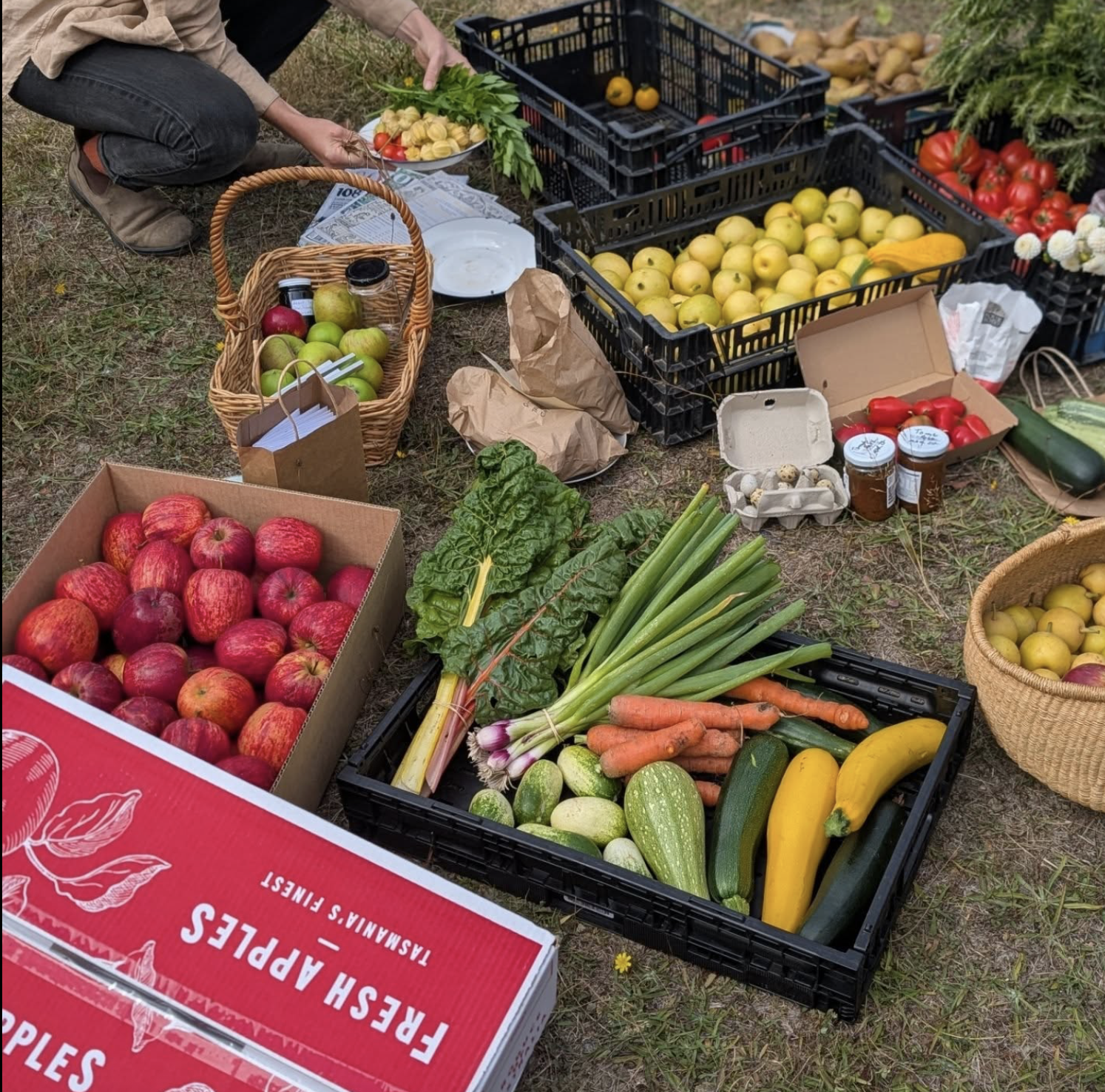 Screenshot 2026-03-06 at 11.11.49 am.png