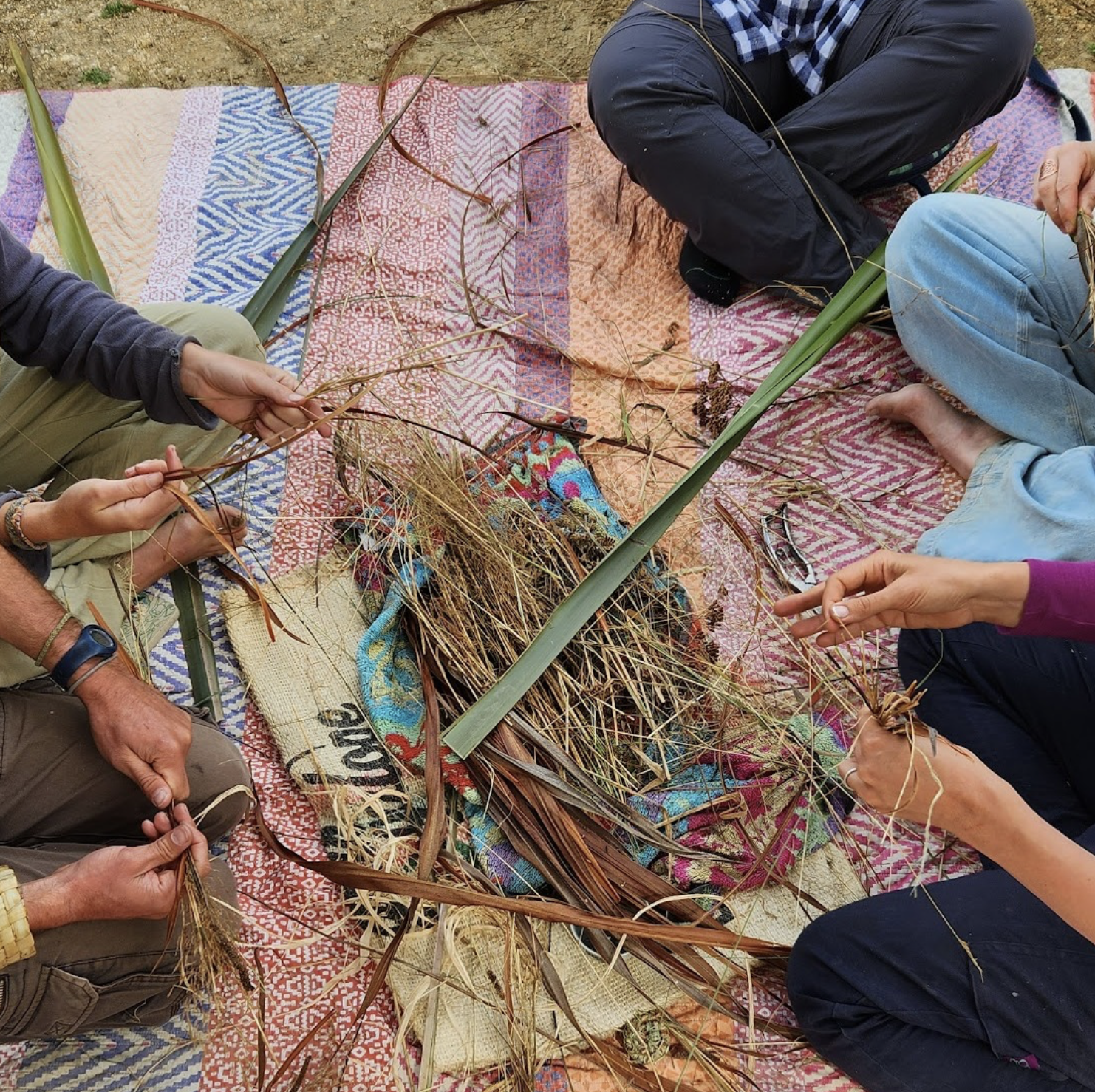 Screenshot 2026-03-06 at 11.12.45 am.png