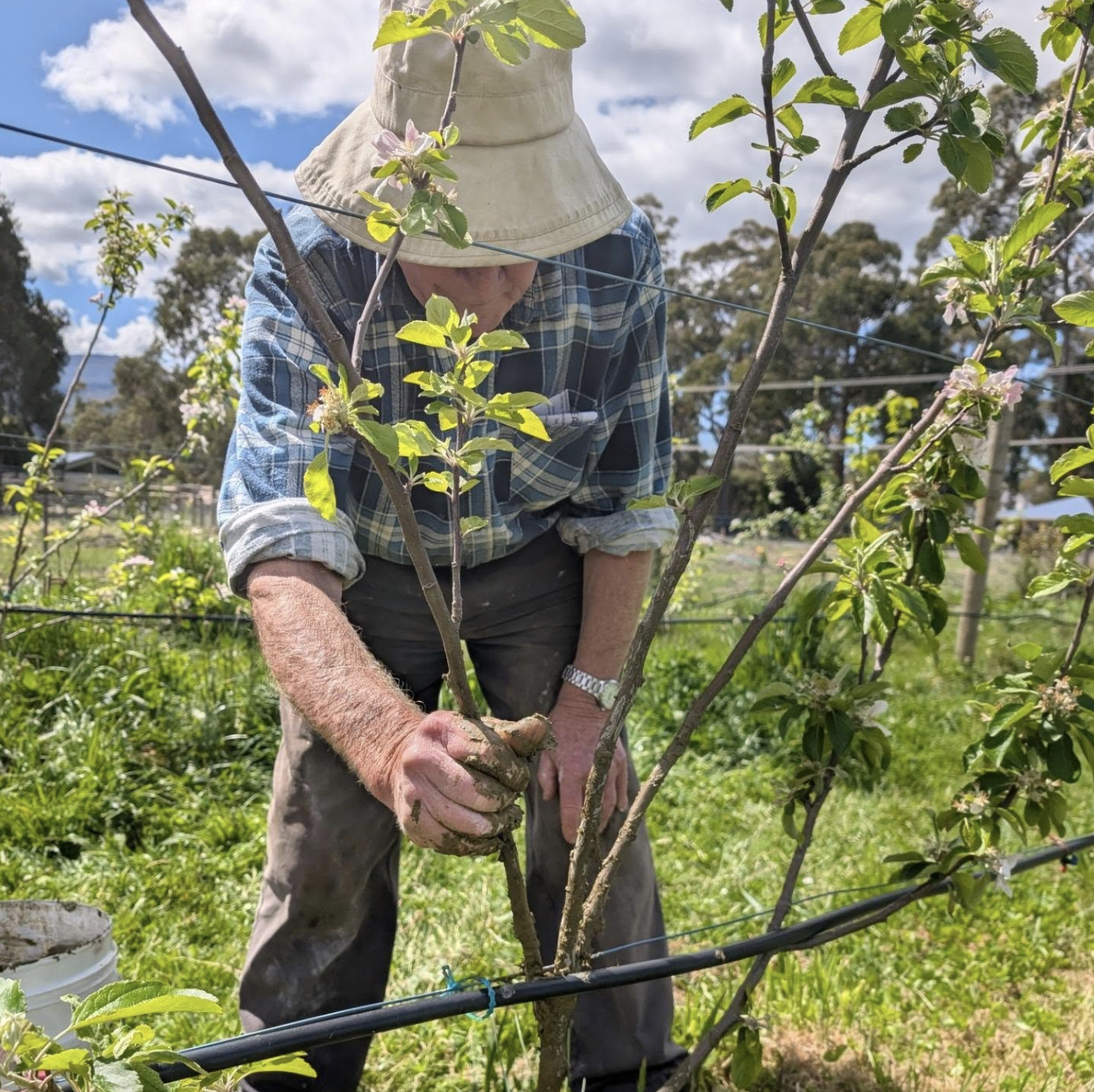 Screenshot 2026-03-06 at 11.15.48 am.png