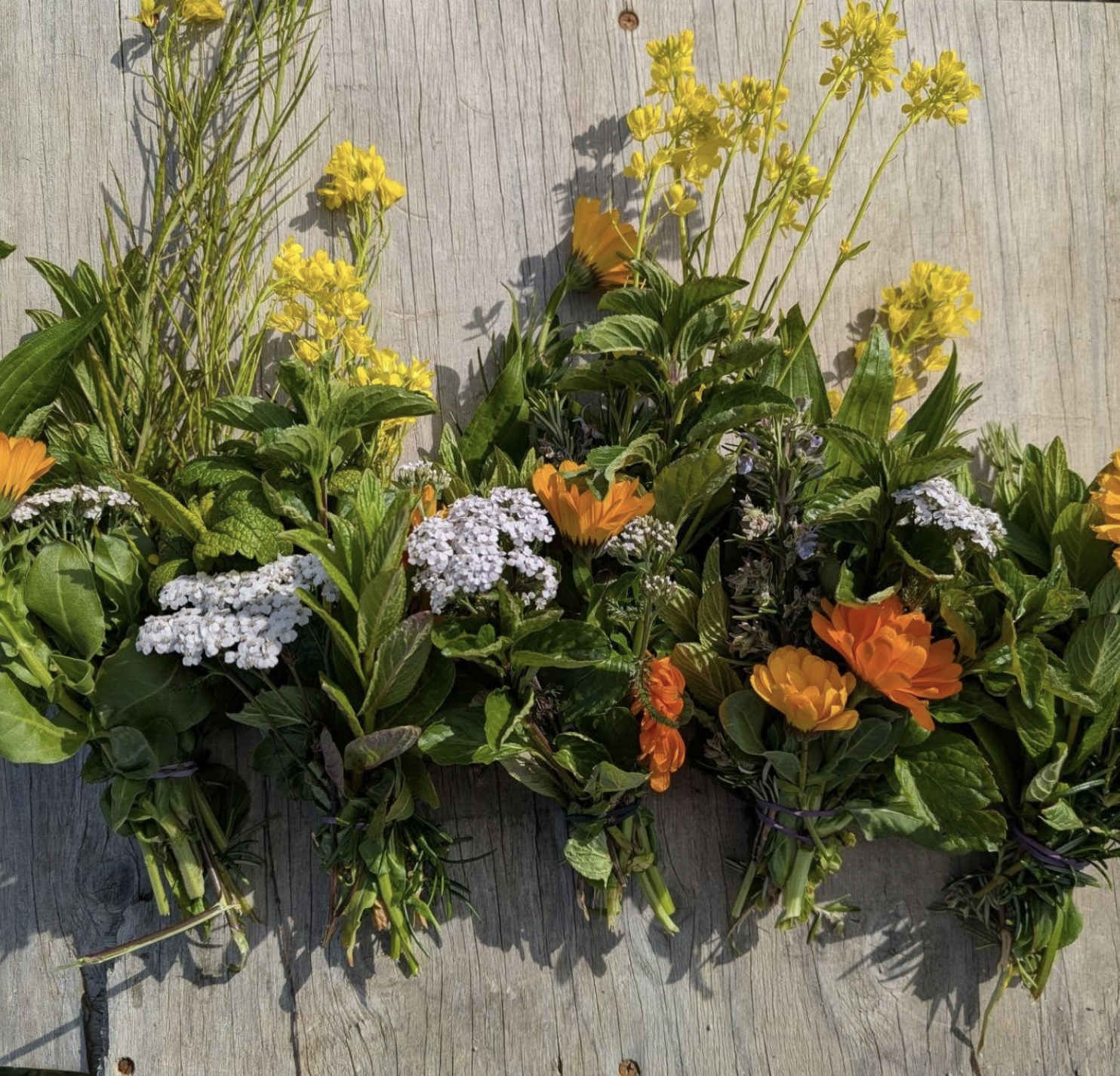 Screenshot 2026-03-06 at 11.16.11 am.png