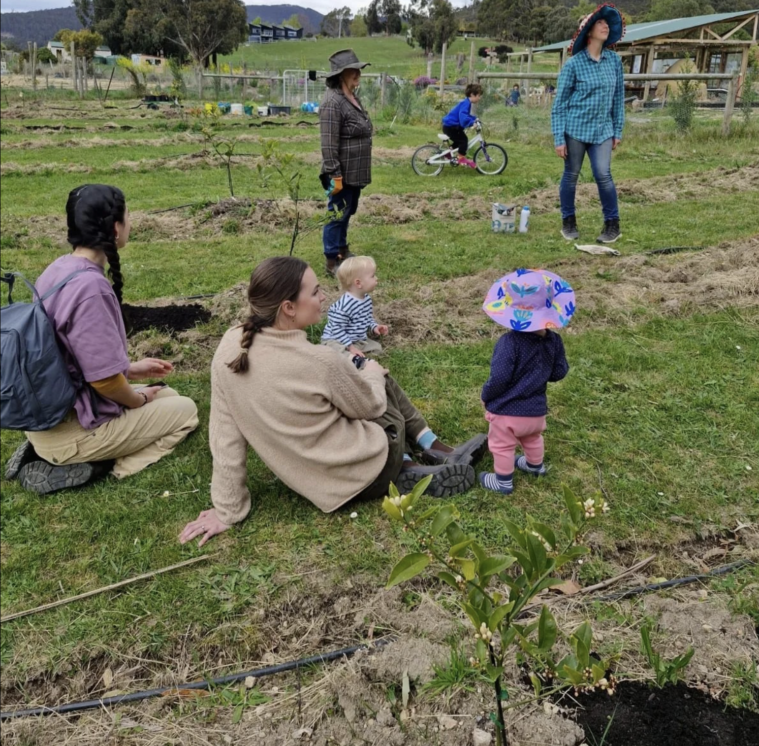 Screenshot 2026-03-06 at 11.16.54 am.png