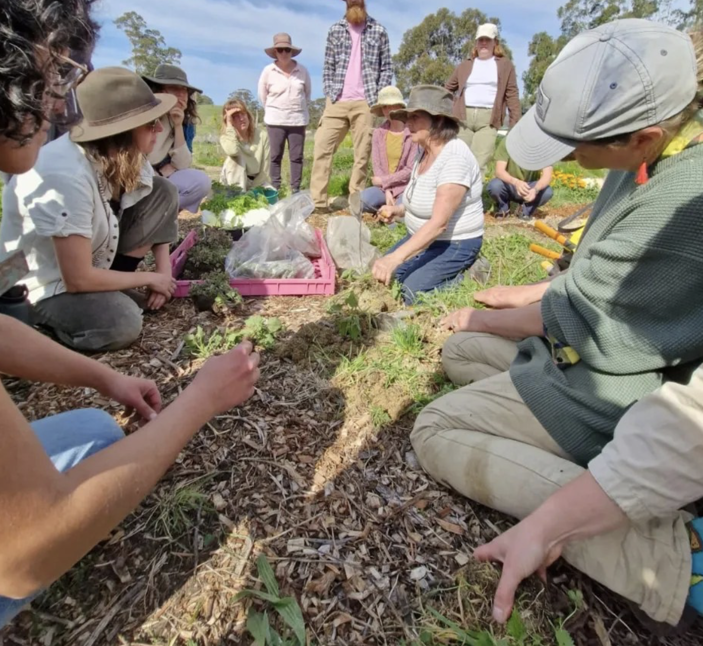 Screenshot 2026-03-06 at 11.17.19 am.png