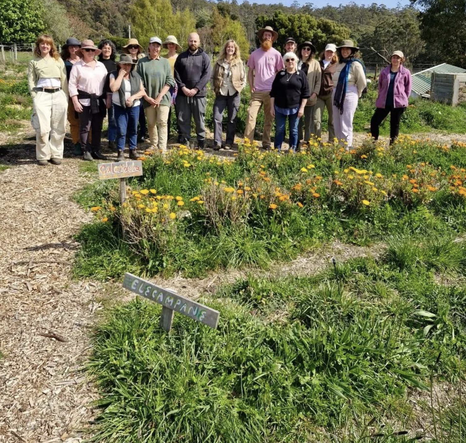 Screenshot 2026-03-06 at 11.17.30 am.png