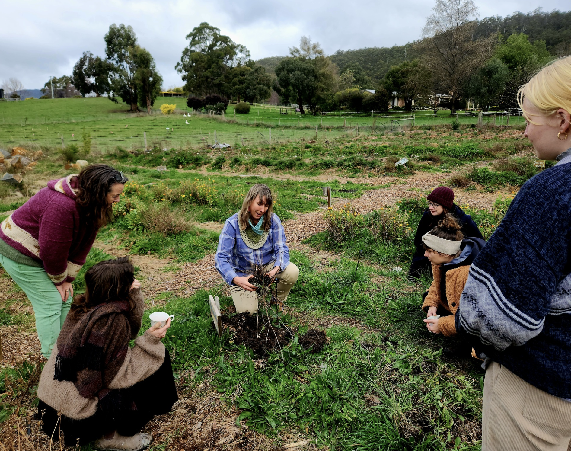 Screenshot 2026-03-06 at 11.17.39 am.png