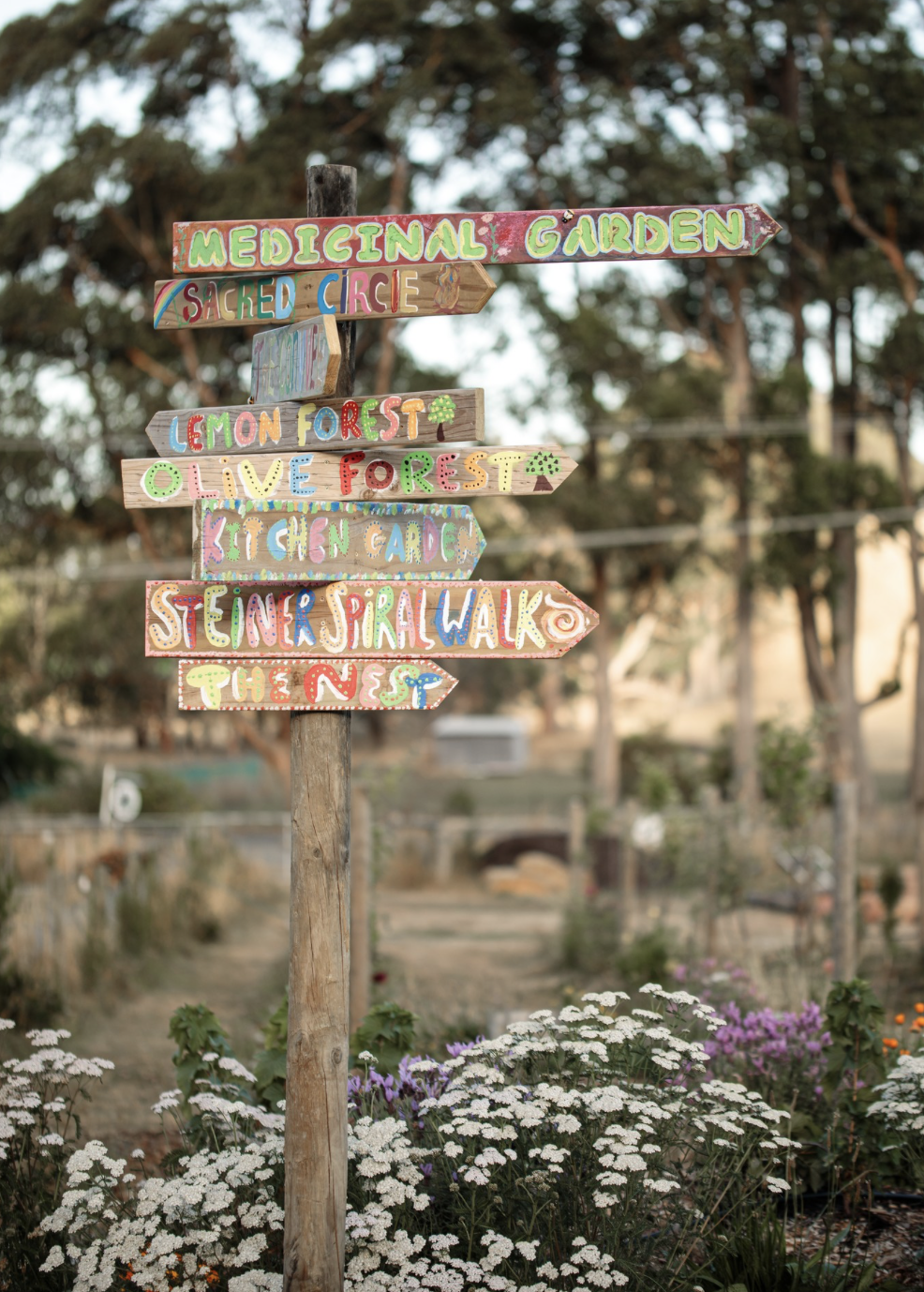 Screenshot 2026-03-06 at 11.17.53 am.png