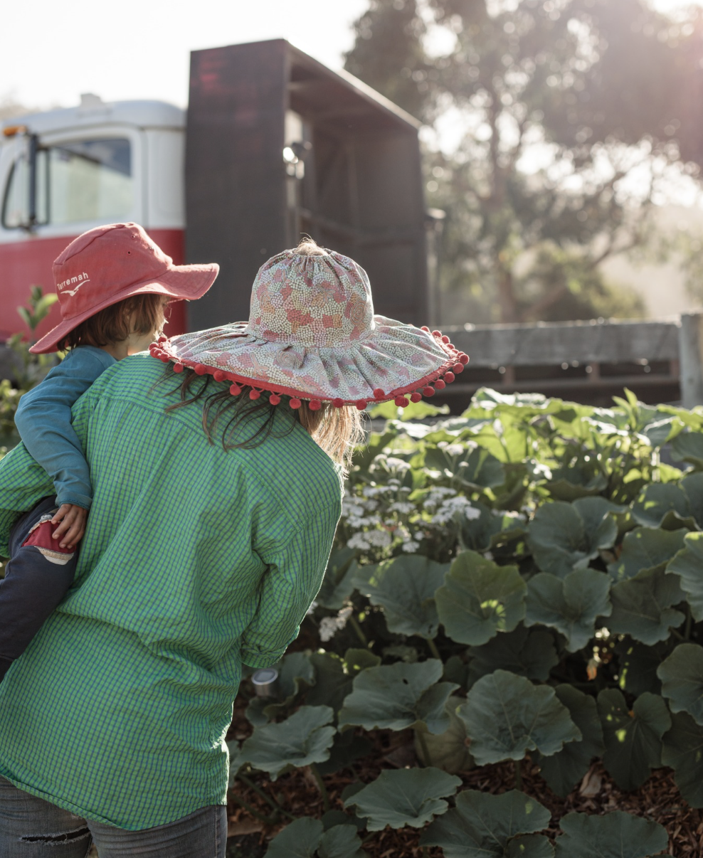 Screenshot 2026-03-06 at 11.18.06 am.png