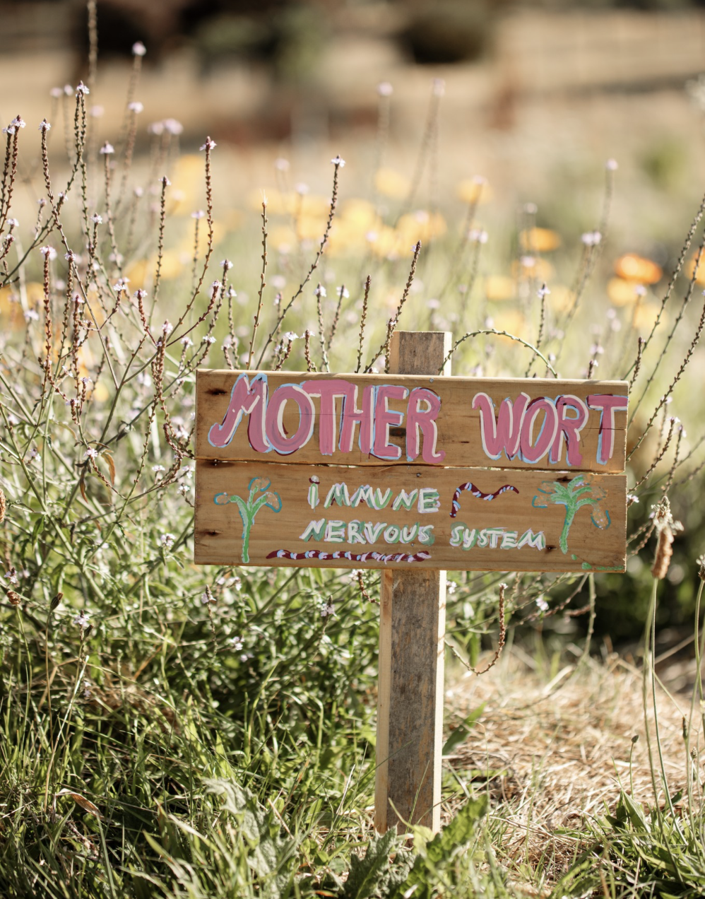 Screenshot 2026-03-06 at 11.18.23 am.png