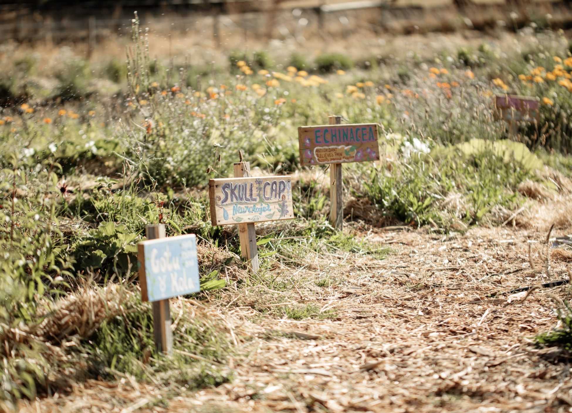 Screenshot 2026-03-06 at 11.18.29 am.png