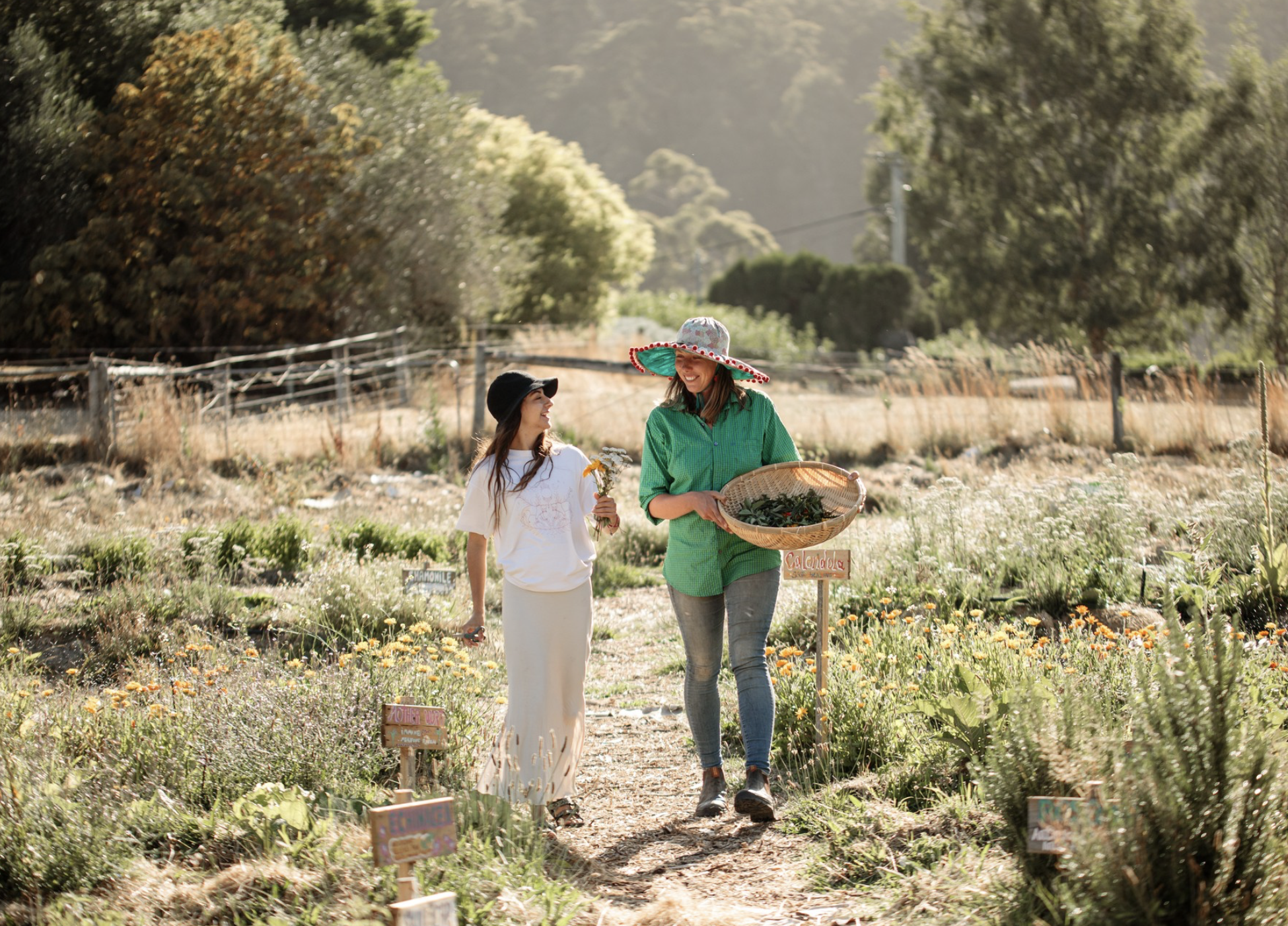 Screenshot 2026-03-06 at 11.19.29 am.png