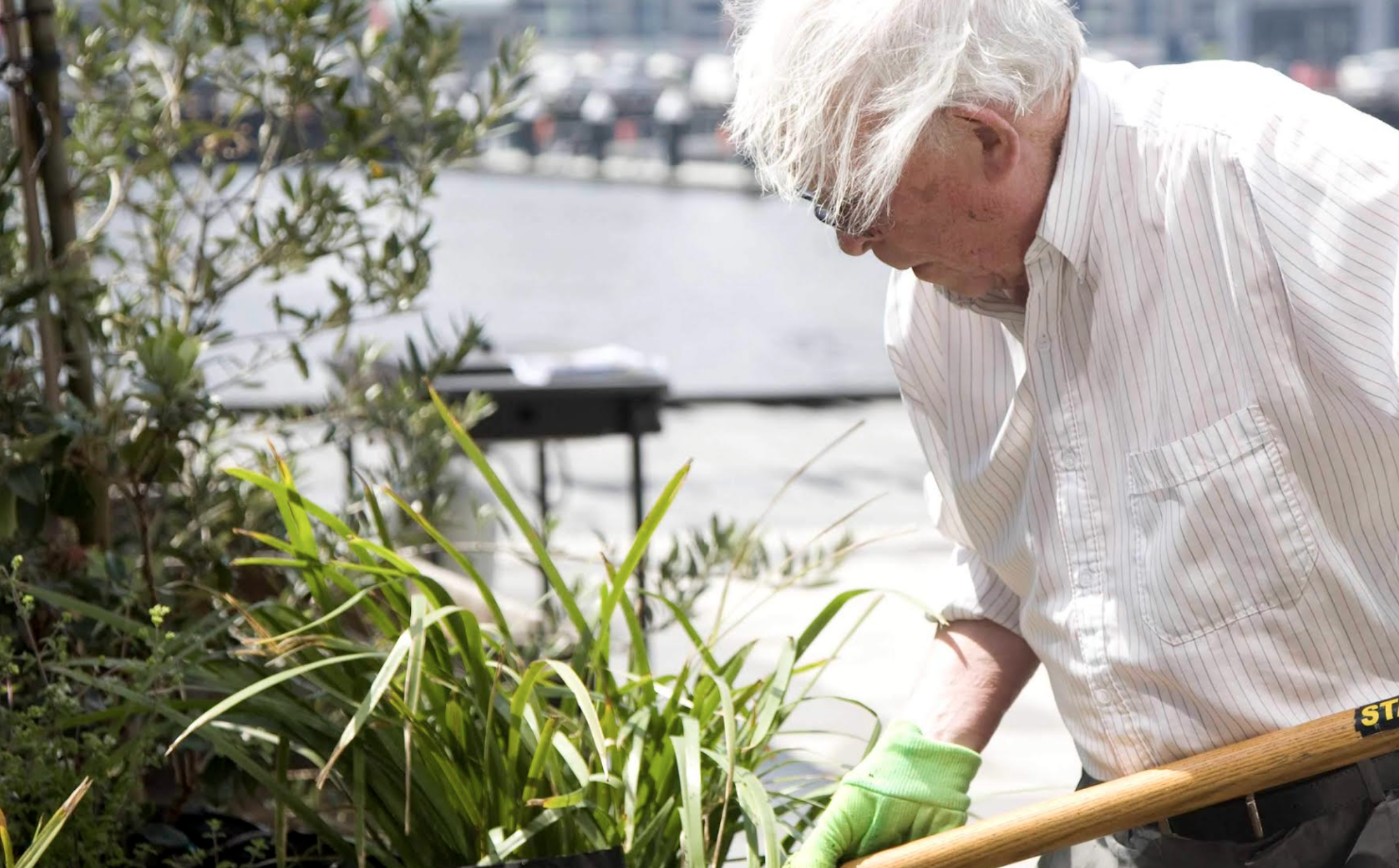 Screenshot 2026-03-06 at 11.43.25 am.png