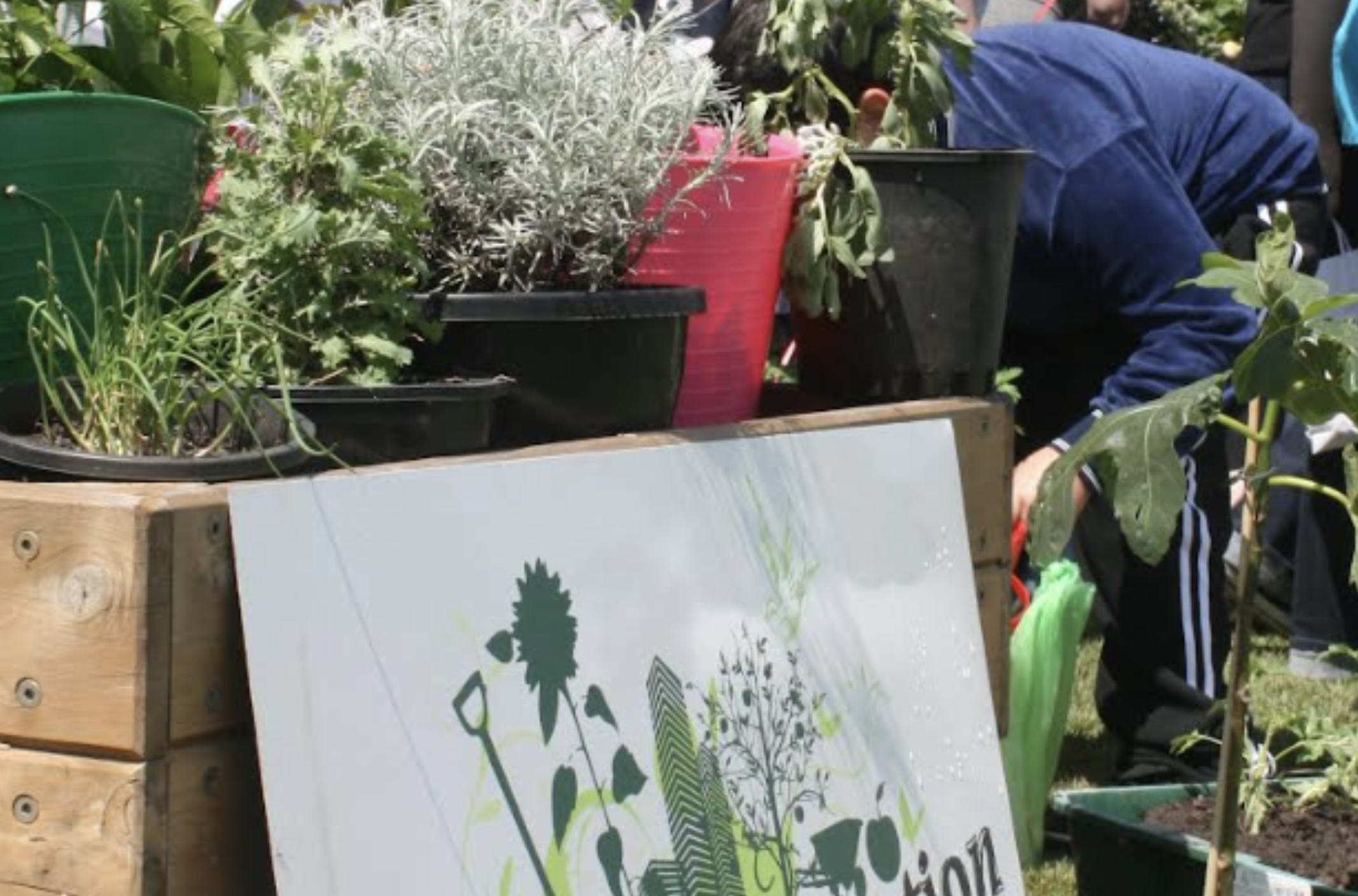 Screenshot 2026-03-06 at 11.43.33 am.png