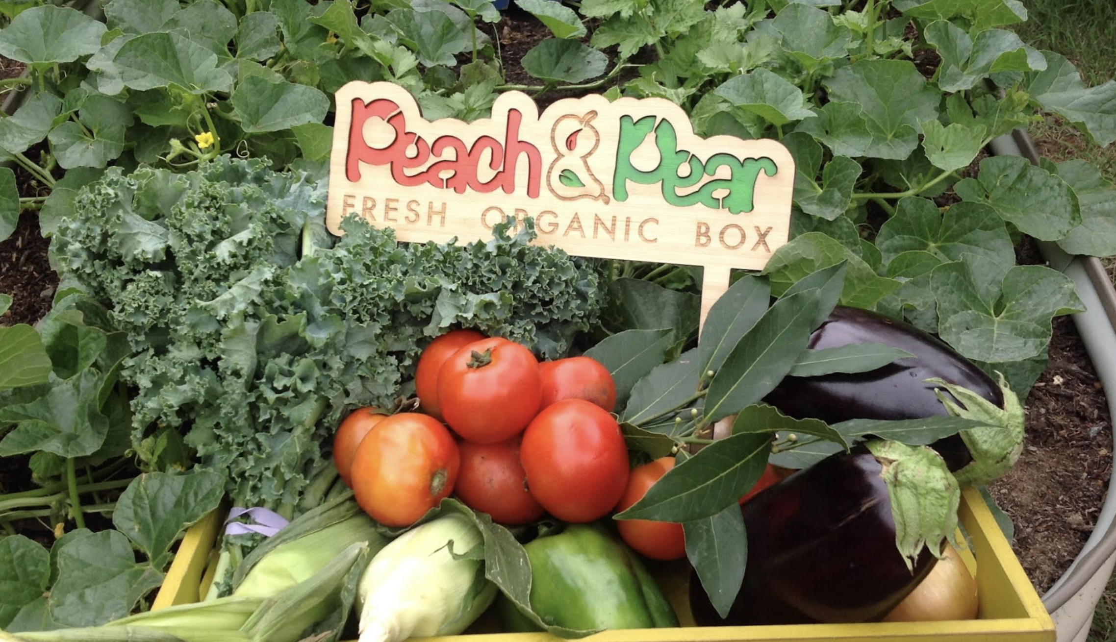 Screenshot 2026-03-06 at 11.48.12 am.png