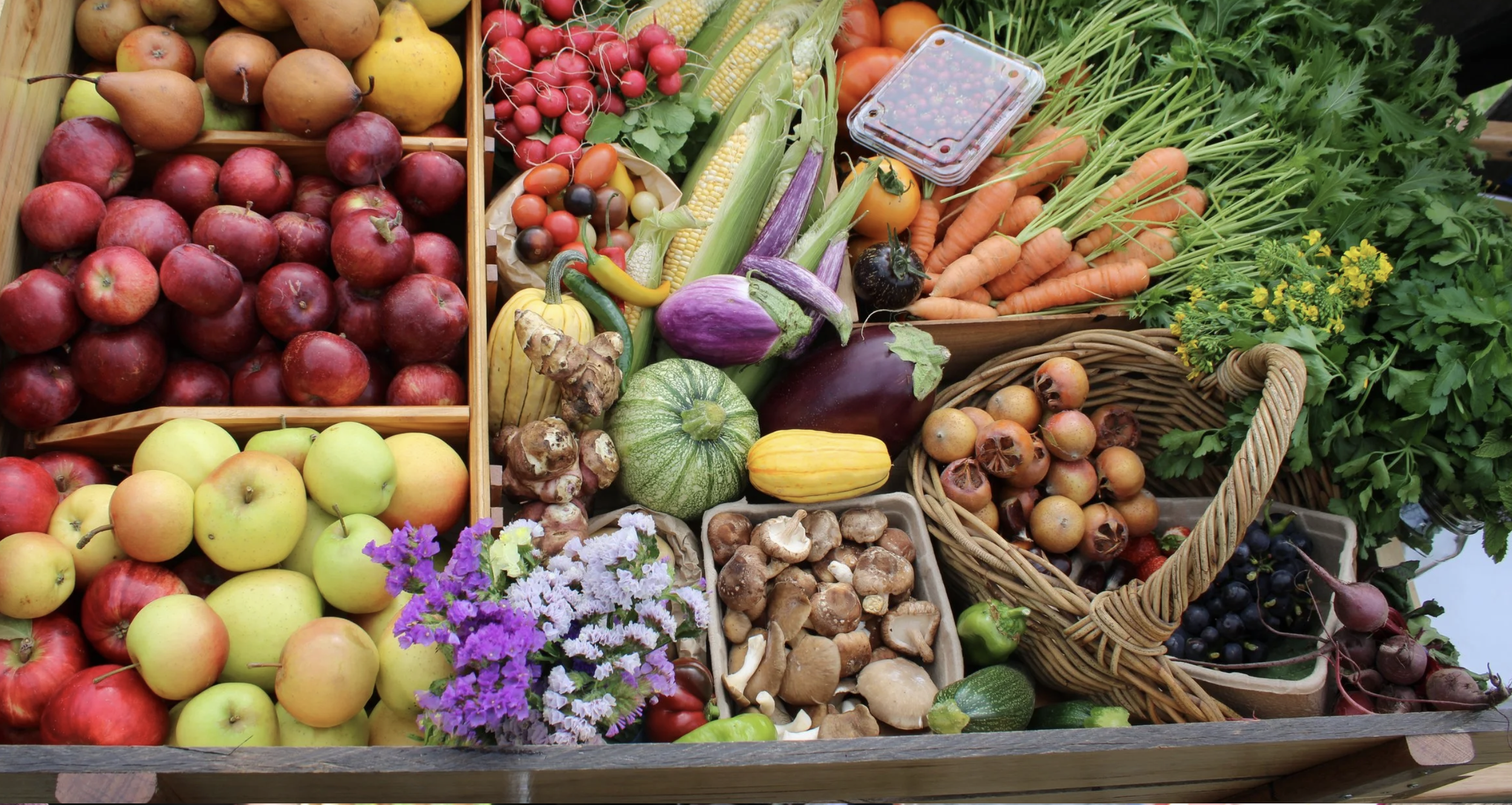 Screenshot 2026-03-06 at 11.49.09 am.png