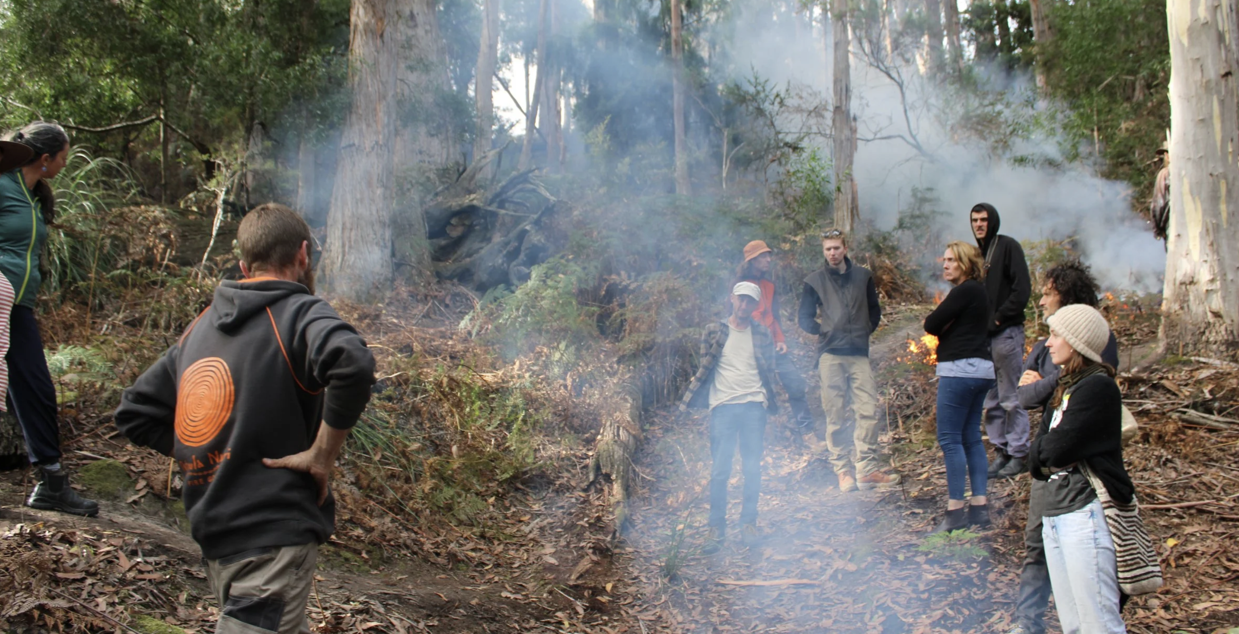 Screenshot 2026-03-06 at 11.49.31 am.png