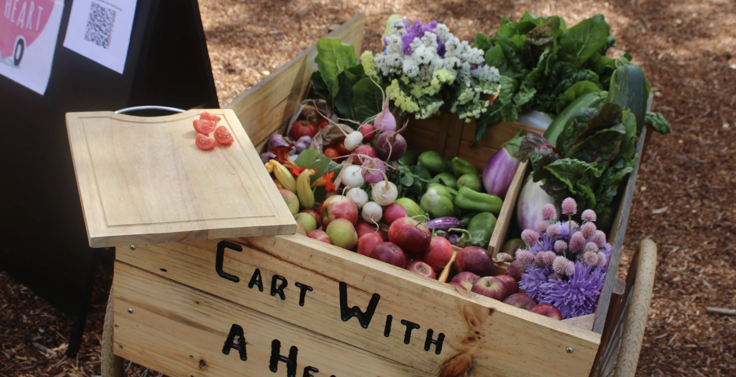 Screenshot 2026-03-06 at 11.49.46 am.png