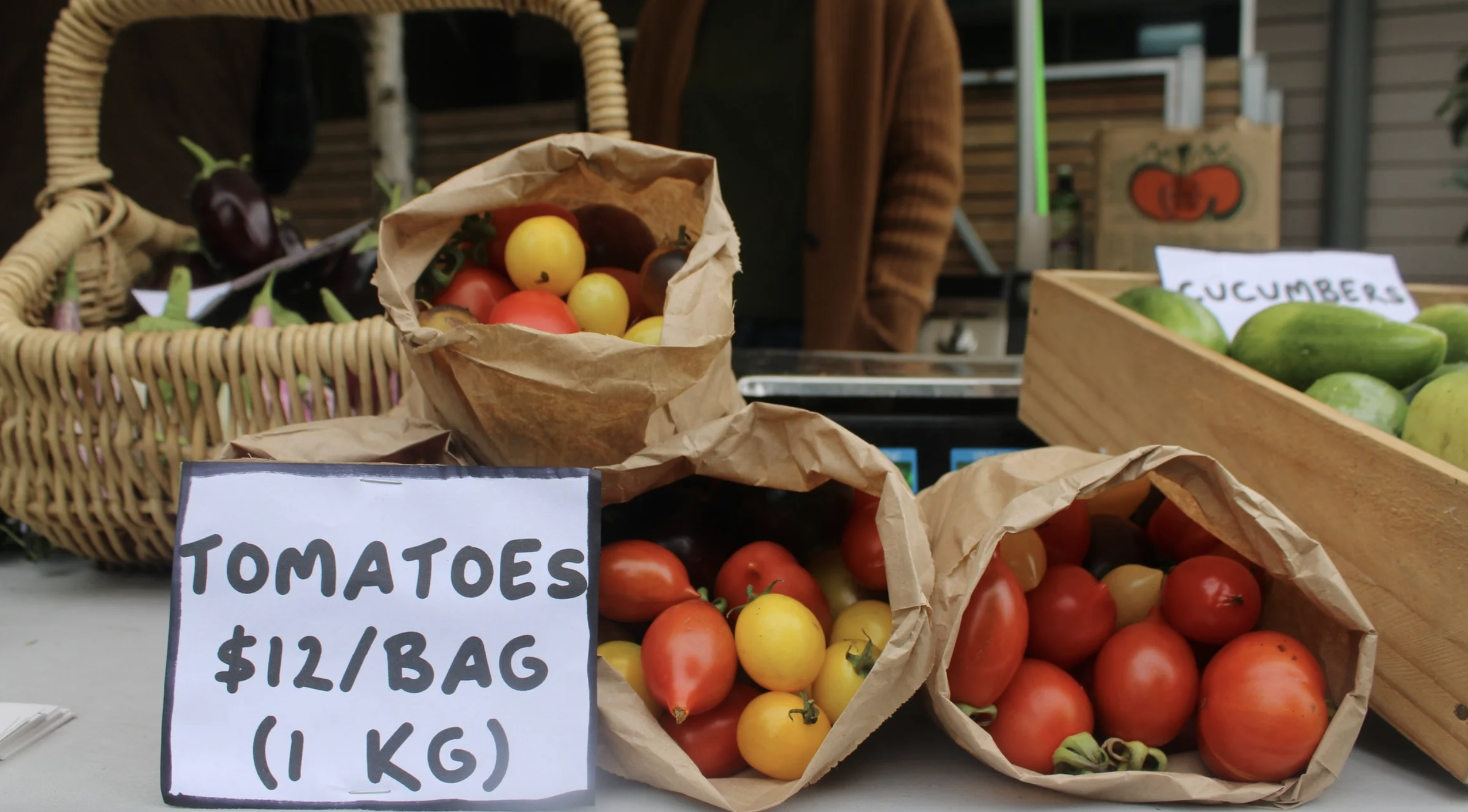 Screenshot 2026-03-06 at 11.50.23 am.png