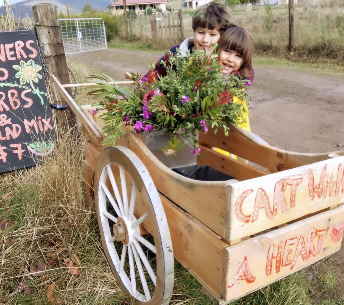 Screenshot 2026-03-06 at 11.22.13 am.png