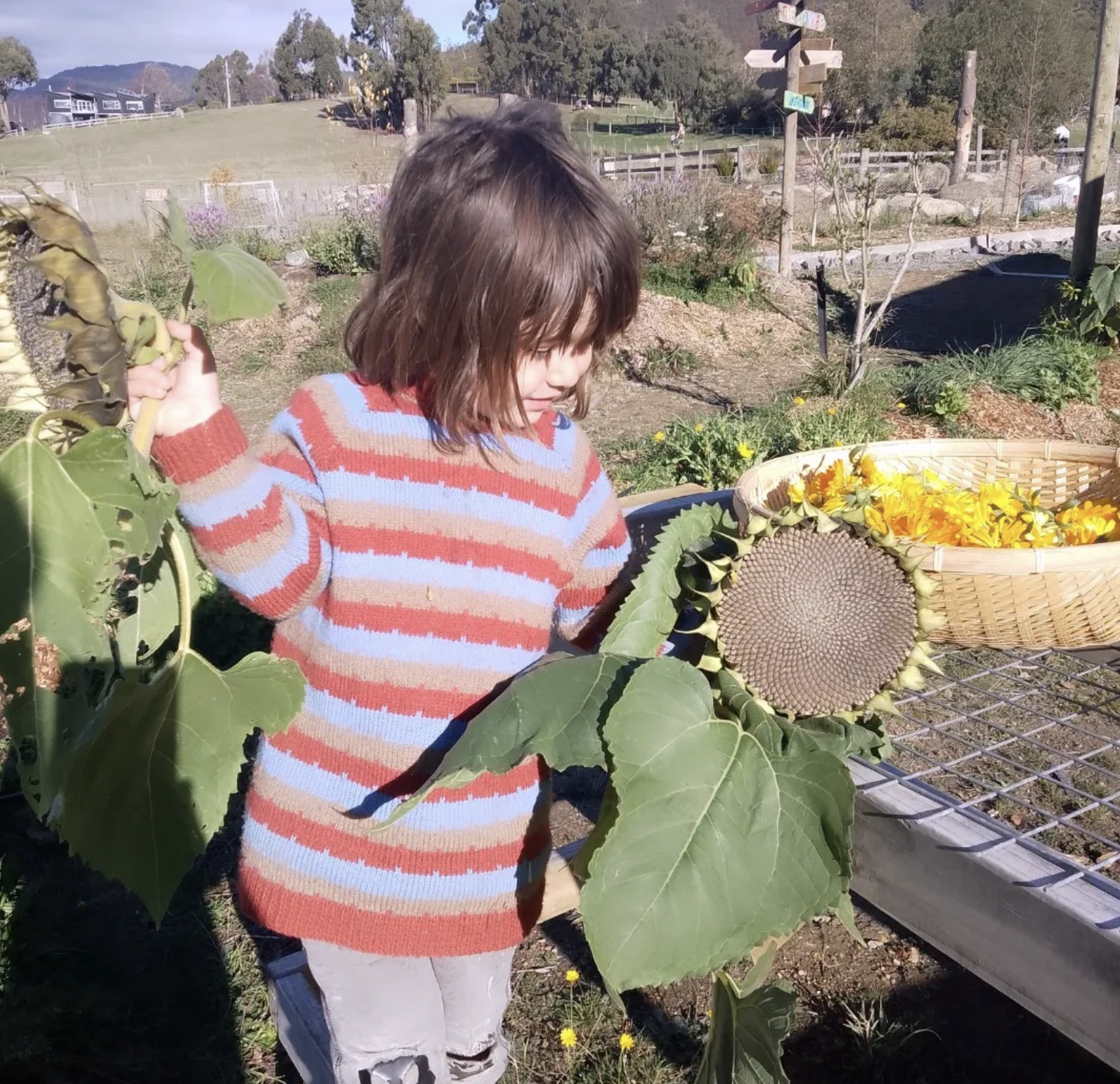 Screenshot 2026-03-06 at 11.22.01 am.png