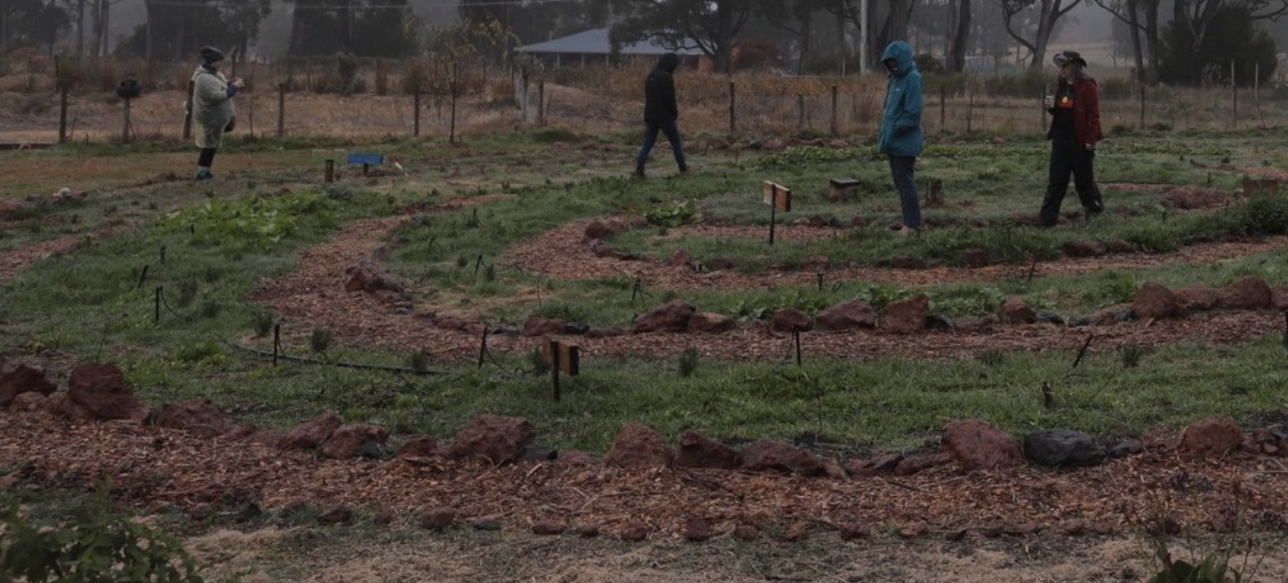 Screenshot 2026-03-06 at 11.22.31 am.png