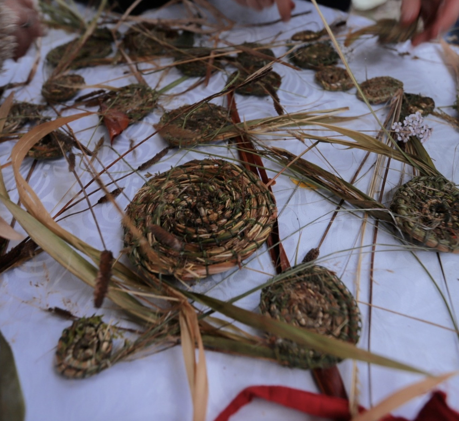 Screenshot 2026-03-06 at 11.22.56 am.png