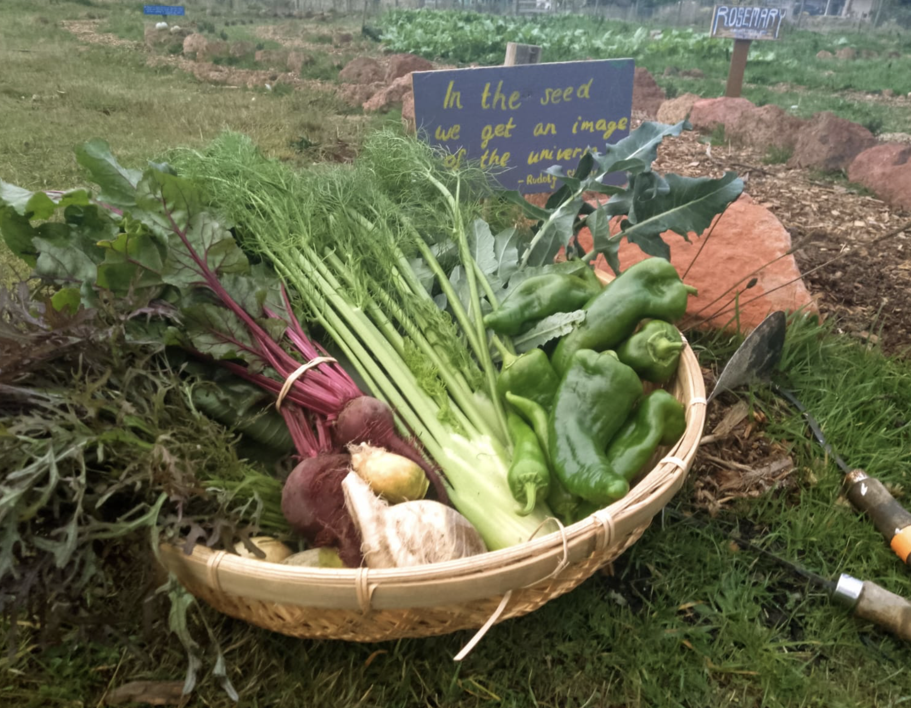 Screenshot 2026-03-06 at 11.23.21 am.png