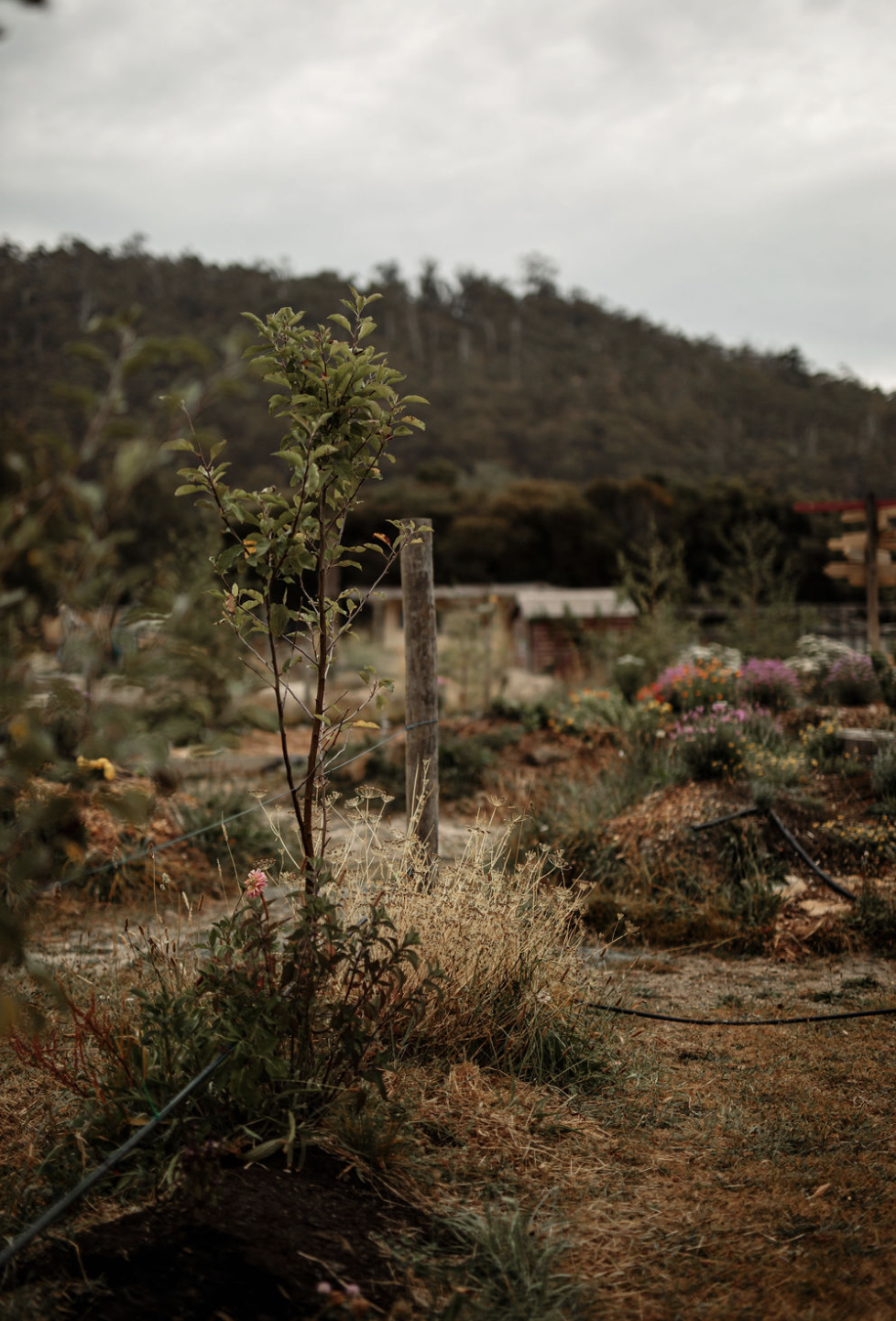 Screenshot 2026-03-06 at 11.24.49 am.png