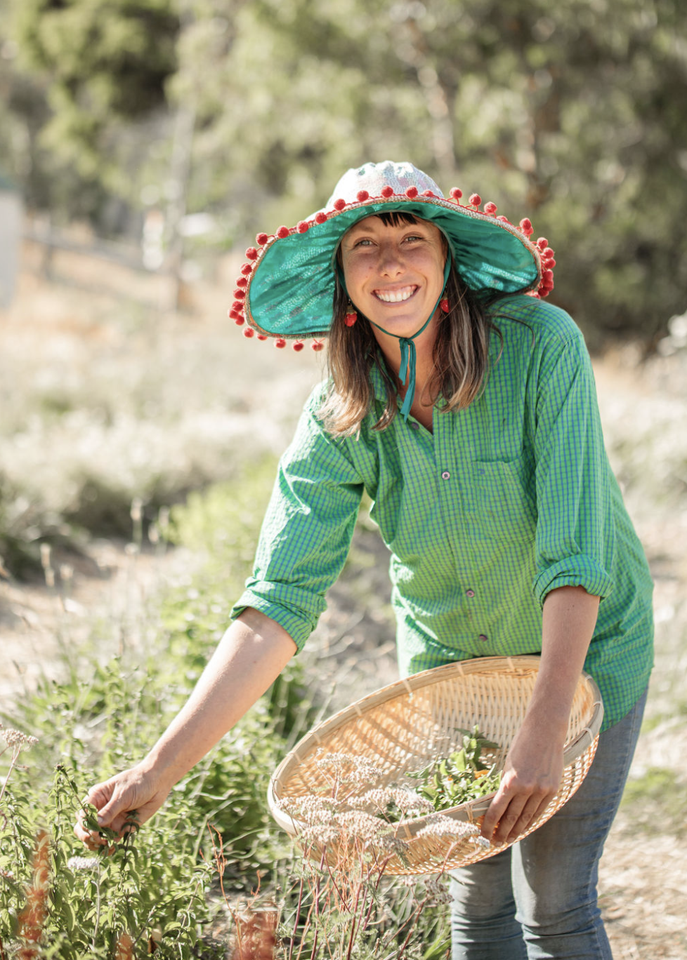 Screenshot 2026-03-06 at 11.24.55 am.png