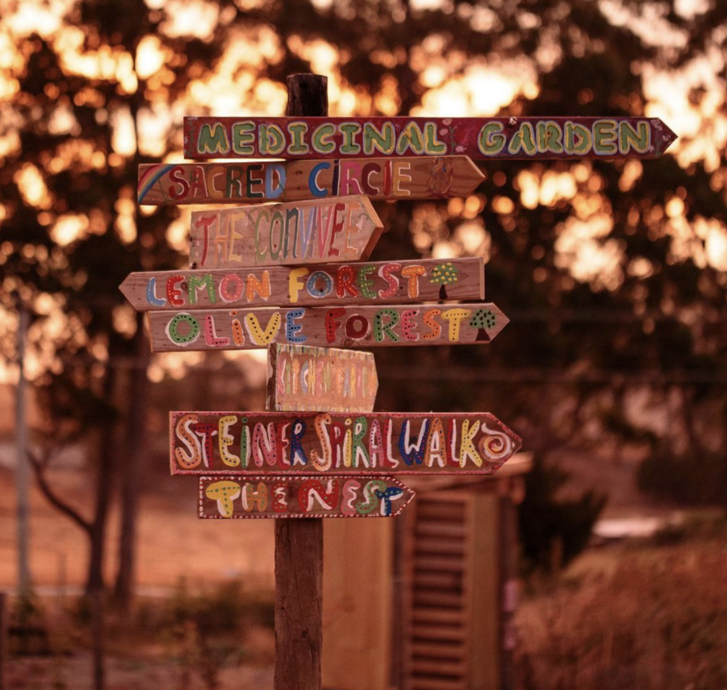 Screenshot 2026-03-06 at 11.25.06 am.png