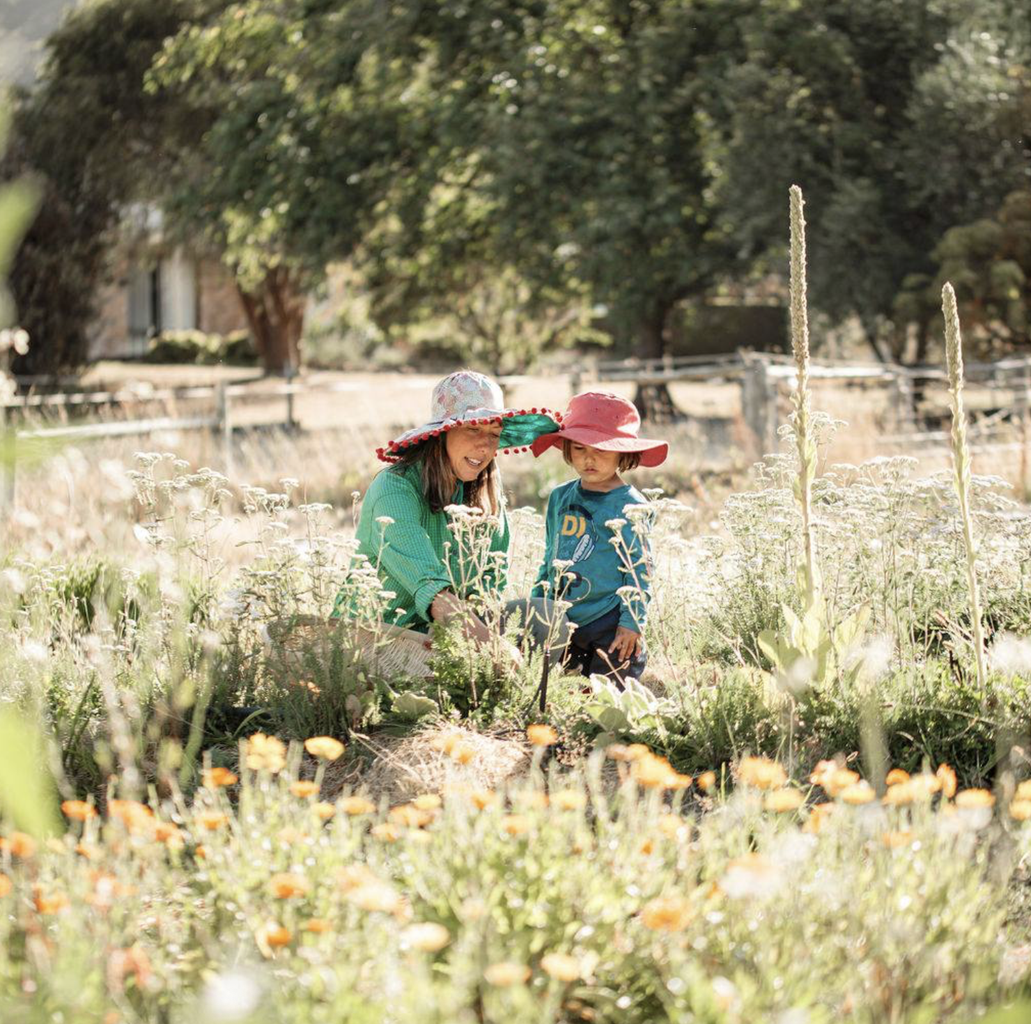 Screenshot 2026-03-06 at 11.25.12 am.png