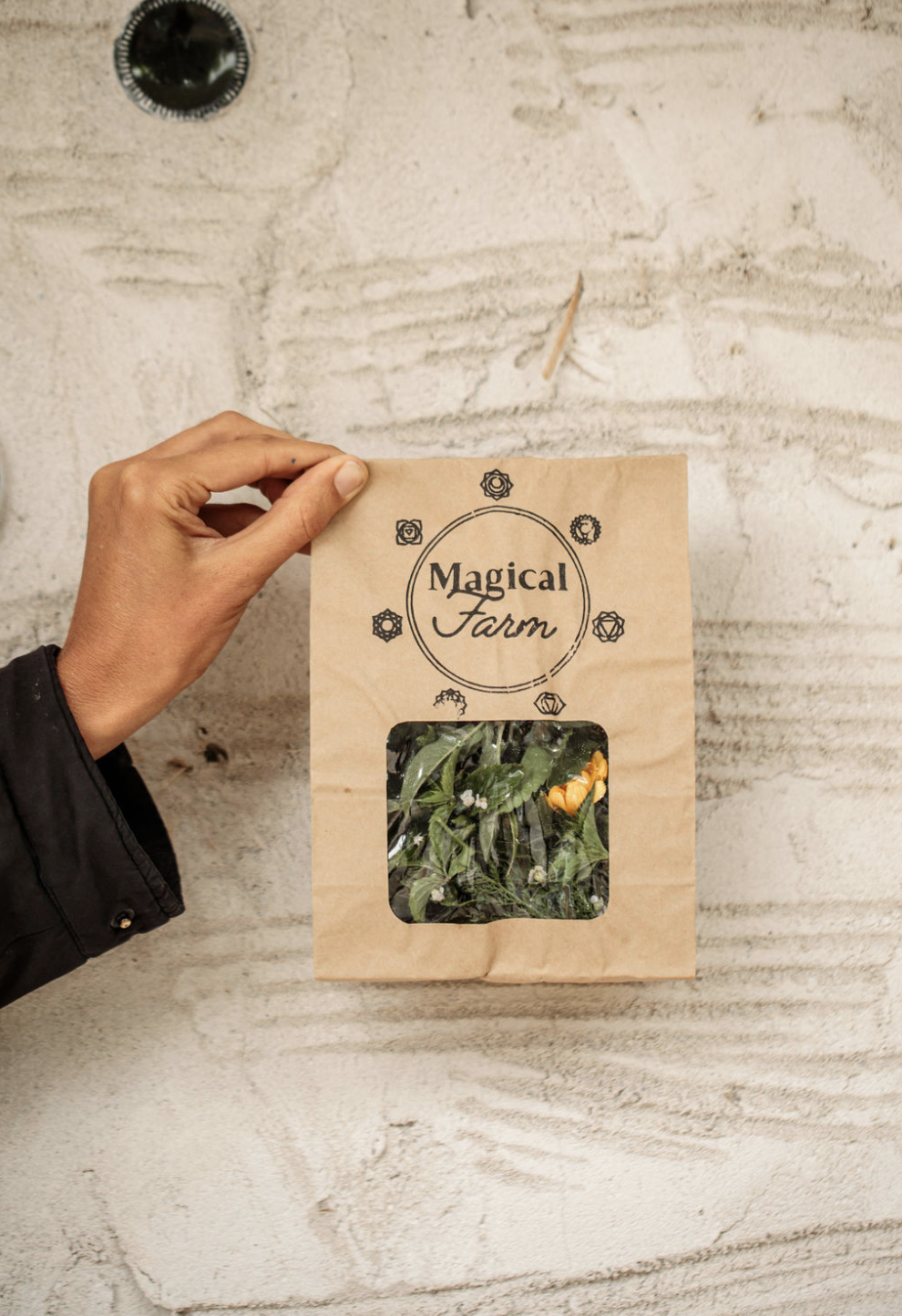 Screenshot 2026-03-06 at 11.25.48 am.png