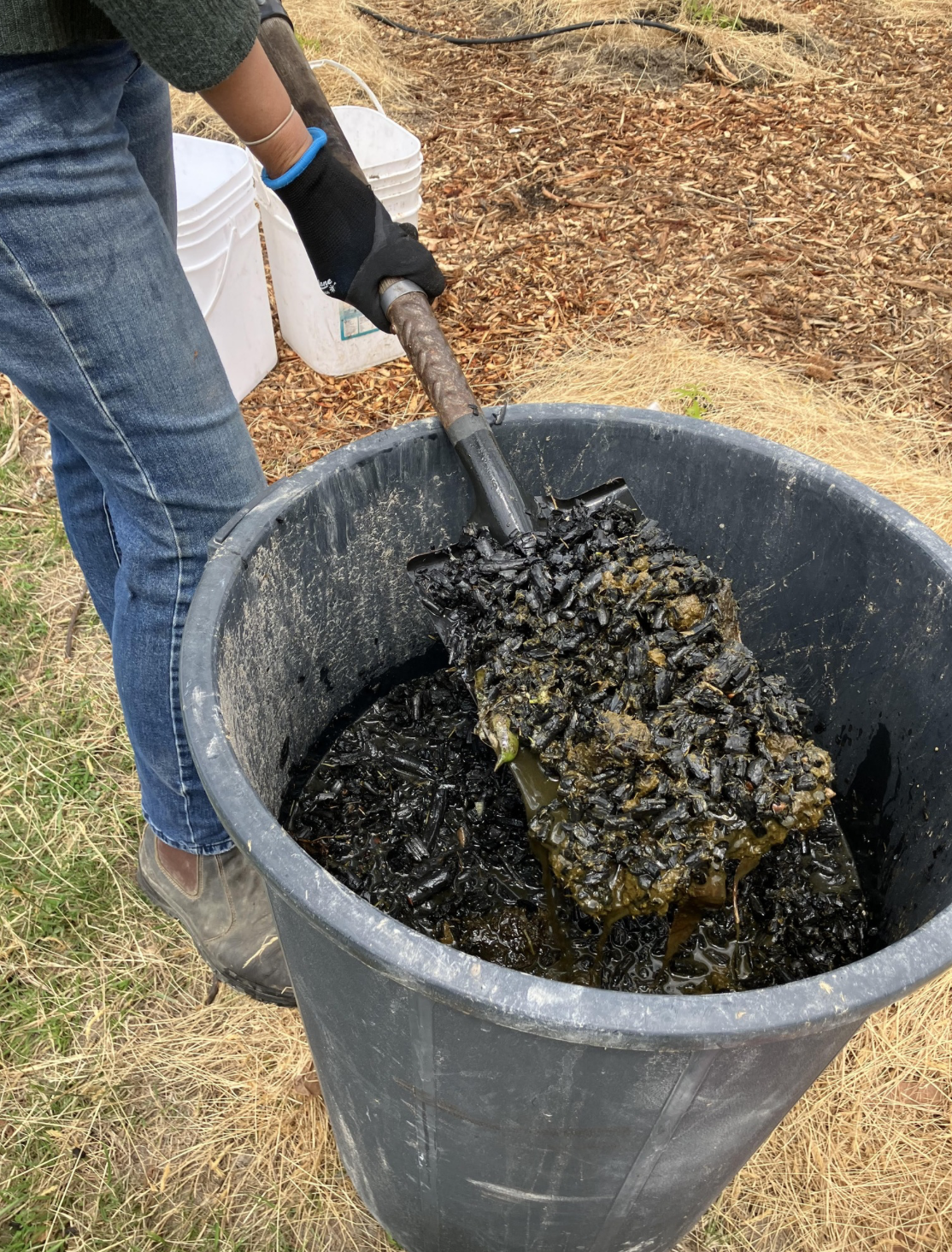 Screenshot 2026-03-06 at 11.26.39 am.png