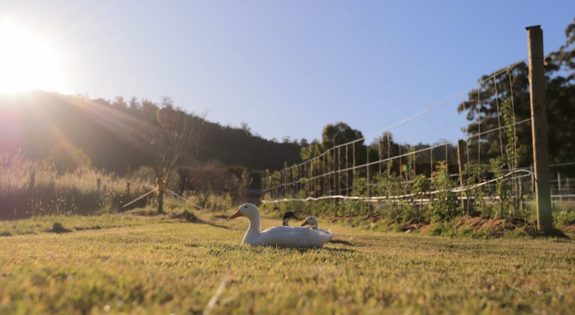 Screenshot 2026-03-06 at 11.27.03 am.png