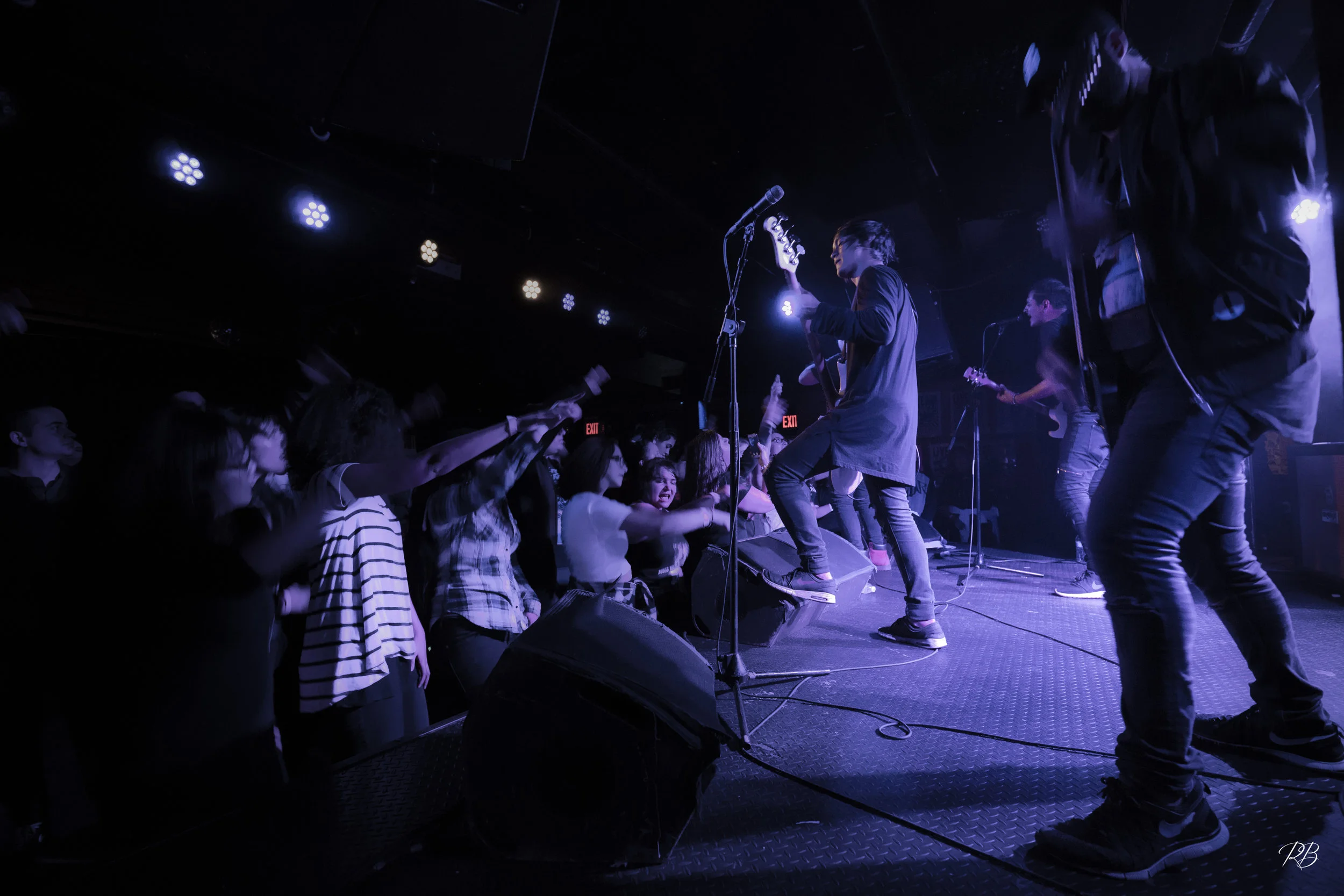 Palisades at Webster Hall