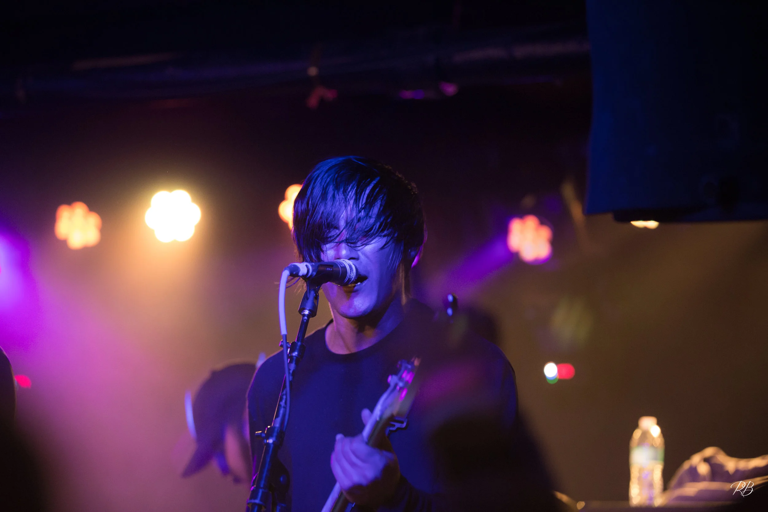 Palisades at Webster Hall