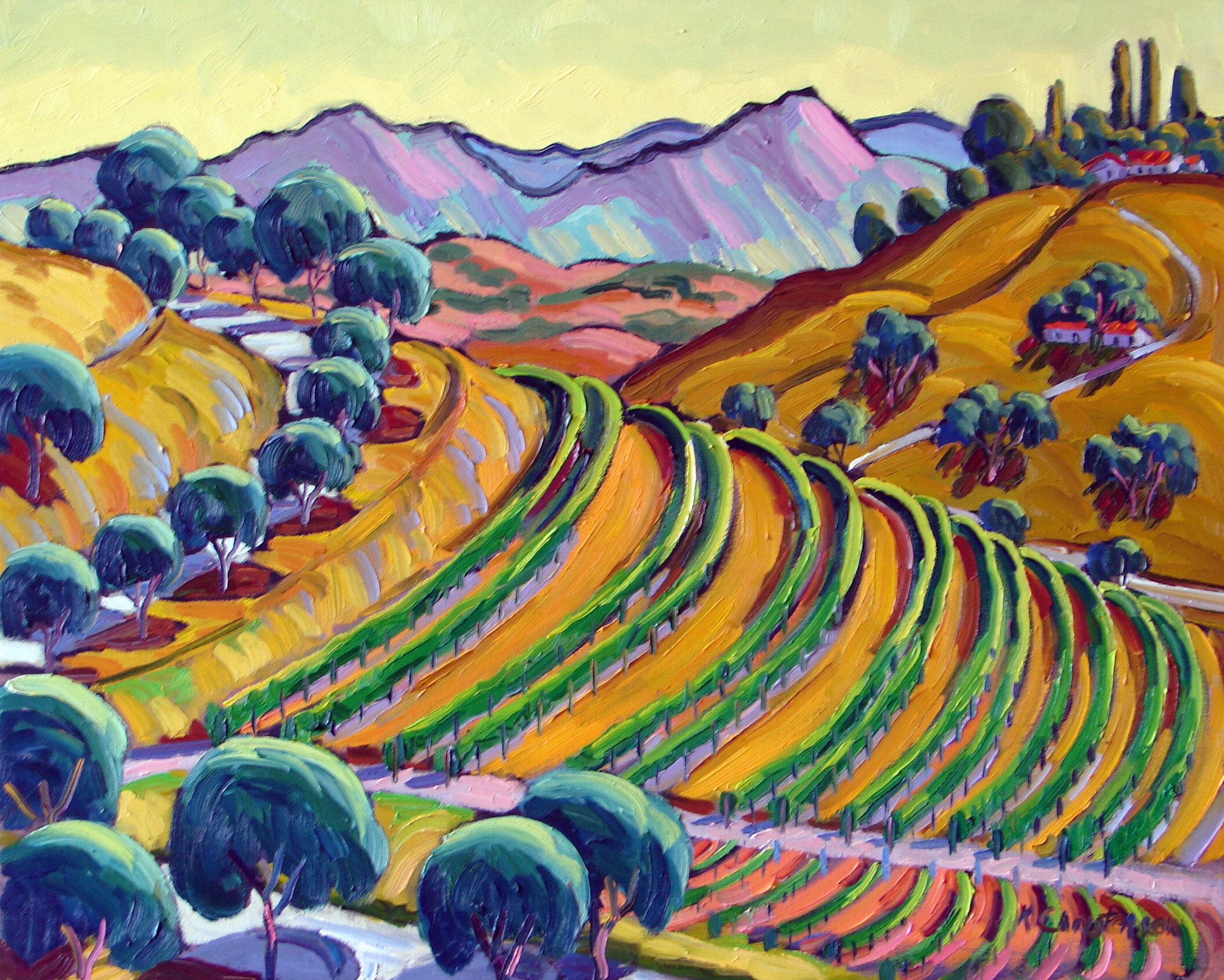 Curving Vineyard 24x30