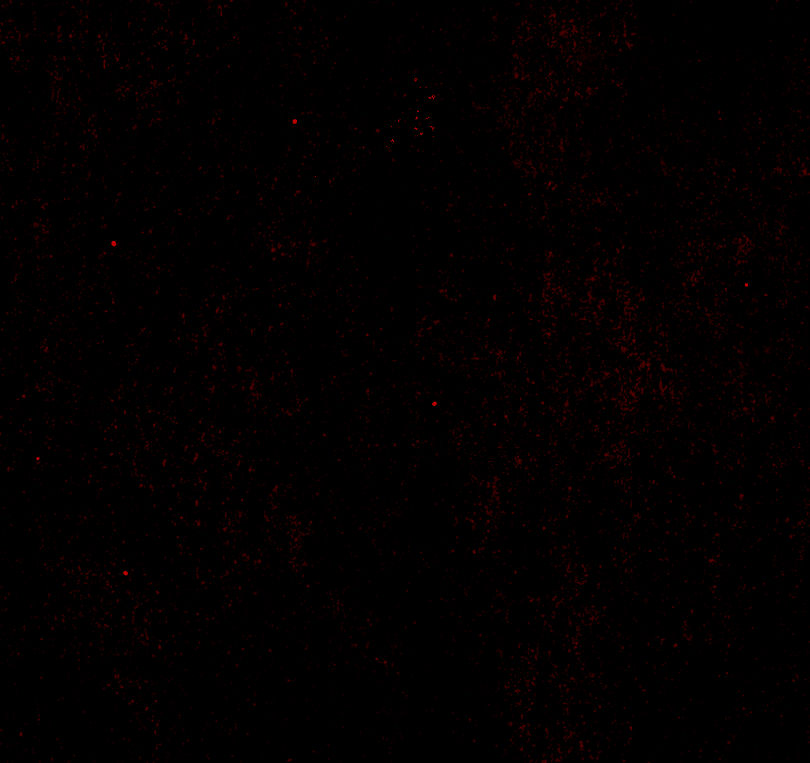  Logo for Vancouver garage band ANEMICS 