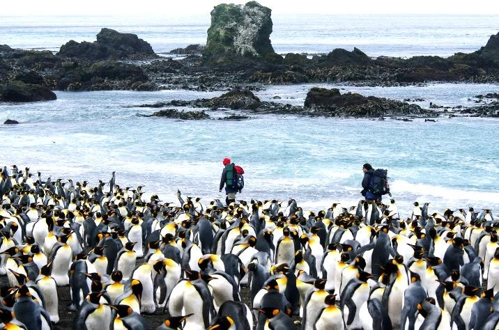 Josie van Dorst on Macquarie Island.