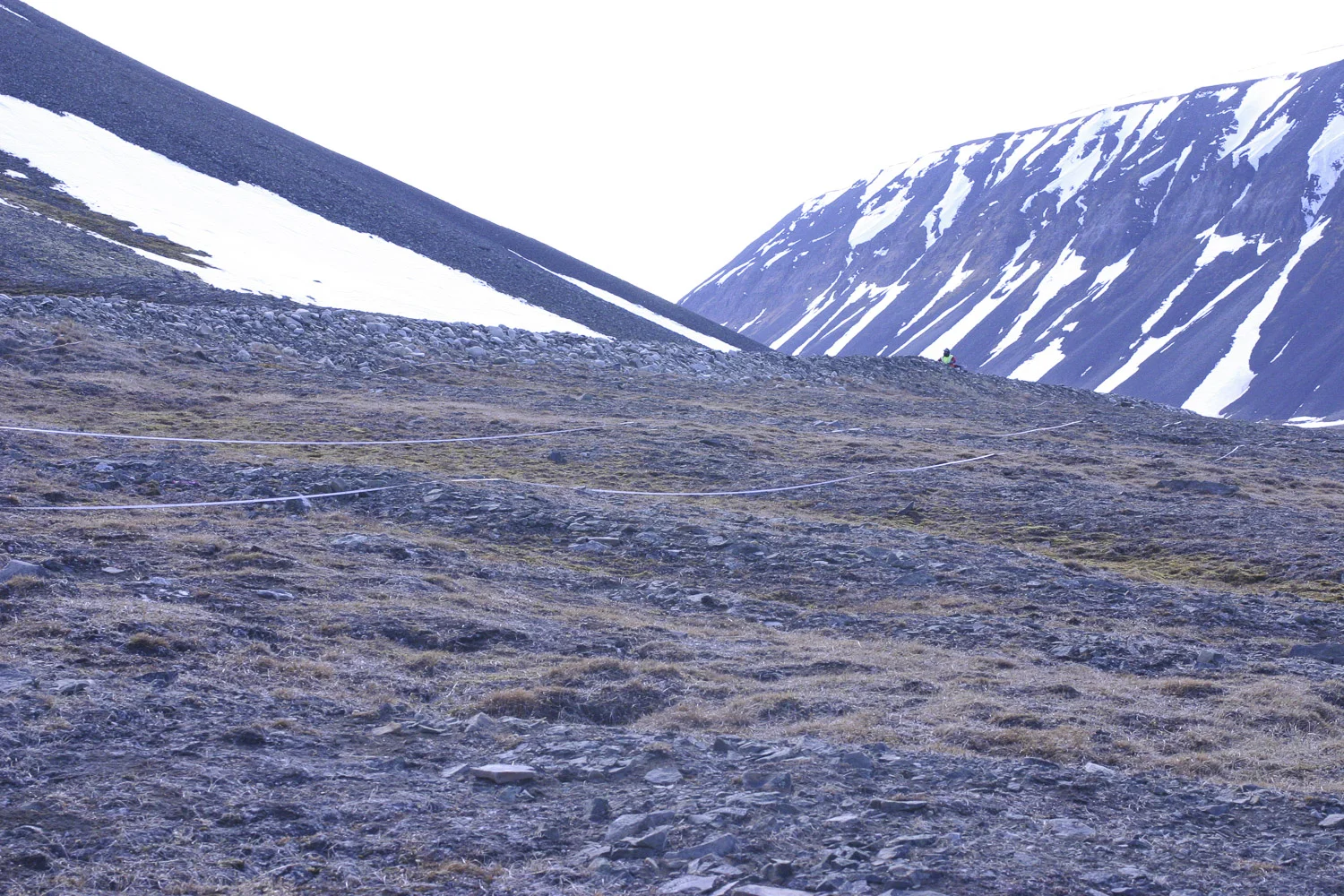 Antarctic soil biodiversity sampling on Browning Peninsula.