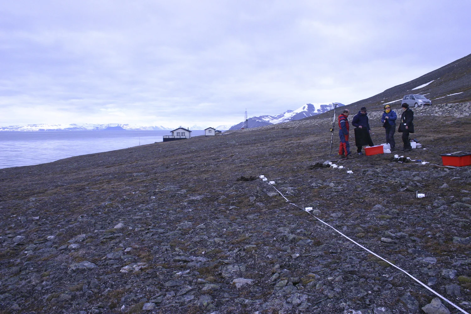 Specimen collection on Mitchell Peninsula.