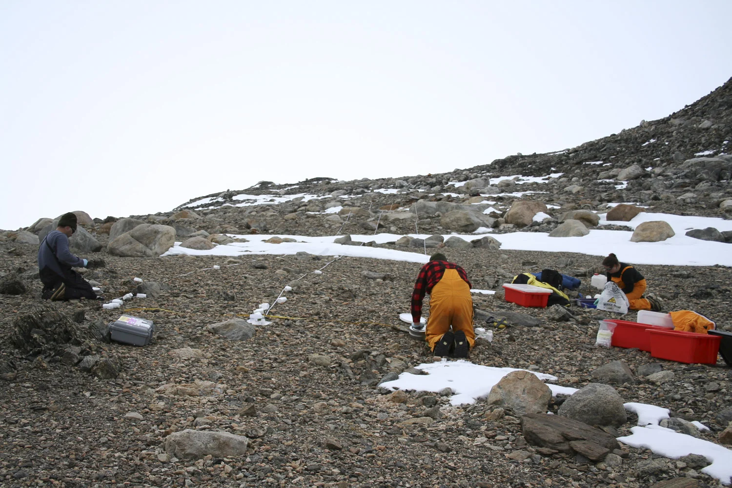 Specimen collection on Mitchell Peninsula.