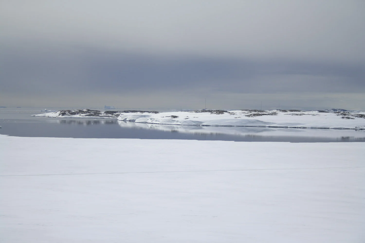 Antarctic soil biodiversity sampling site.