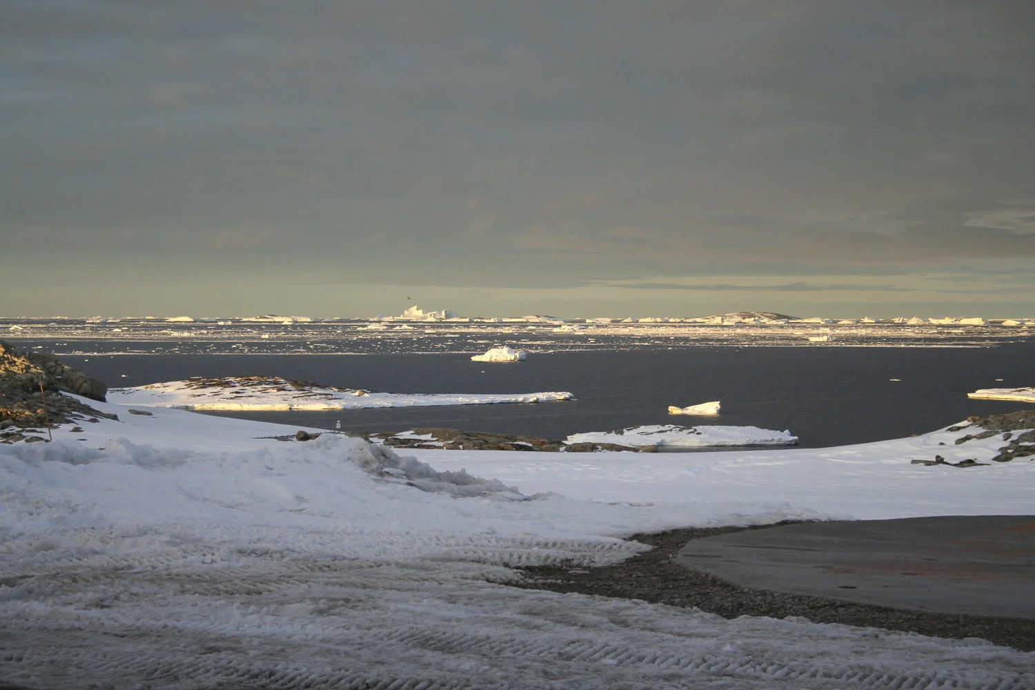 Antarctic soil biodiversity sampling site