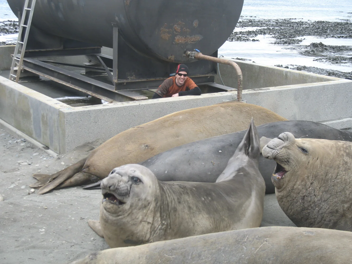 Avoiding interaction with local wildlife at MPH active remediation zone. Photo: Josie van Dorst