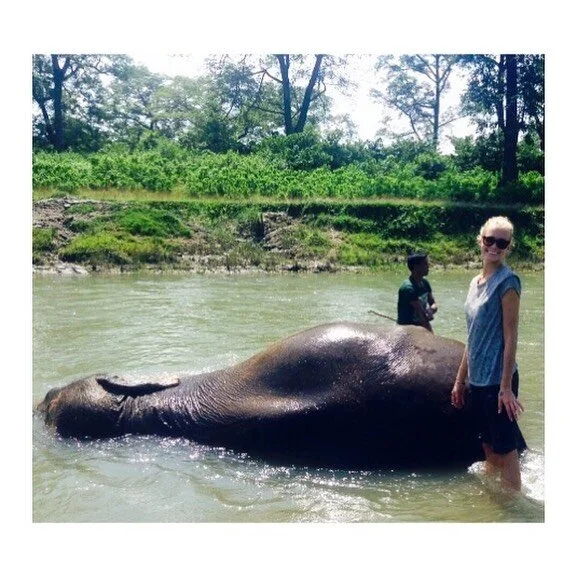 I’ve received so much...
⠀⠀⠀⠀⠀⠀⠀⠀⠀
My favourite thing to do 6 years ago was to bring the elephants bathing @tiger_tops when we lived in Nepal..🐘
⠀⠀⠀⠀⠀⠀⠀⠀⠀
I looked back today and saw everything that has led me to where I sit today (on our livi
