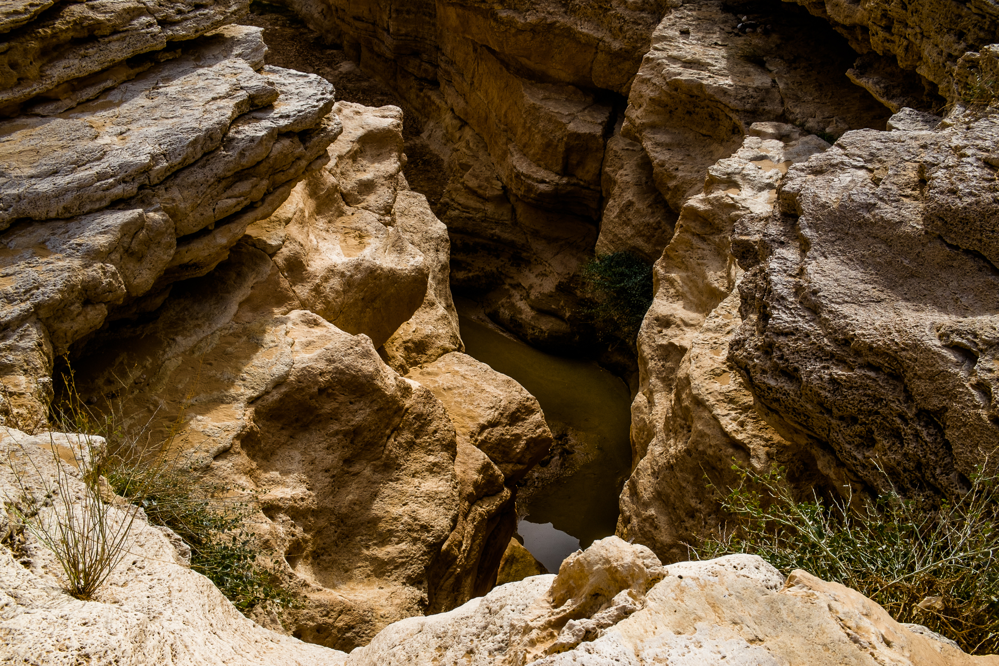 Photo: from Gorges - Entering the In-between by Rita Mendes-Flohr