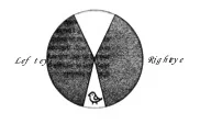 Rawson Image 3.jpg